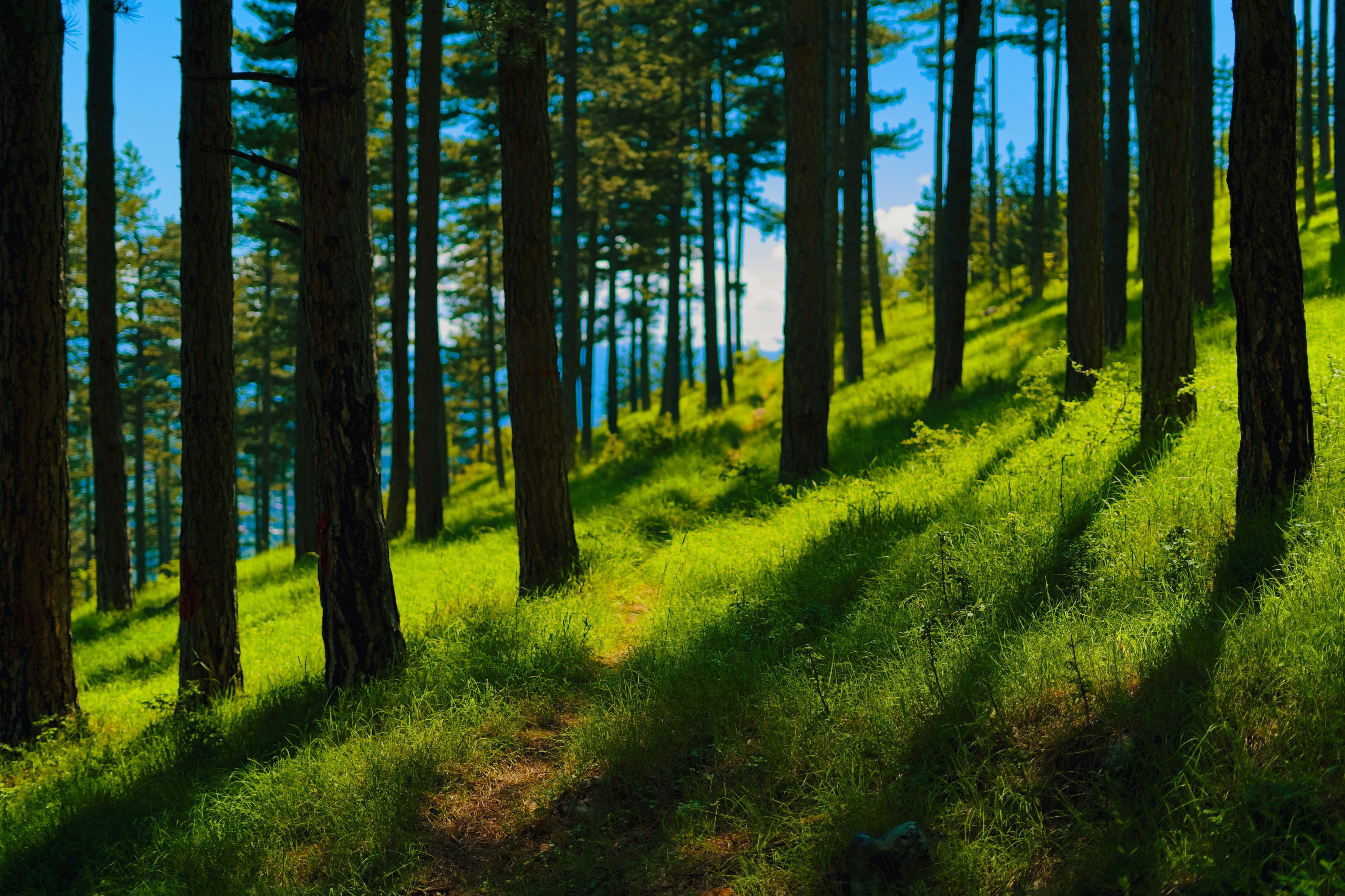 Photo by nedimshoots