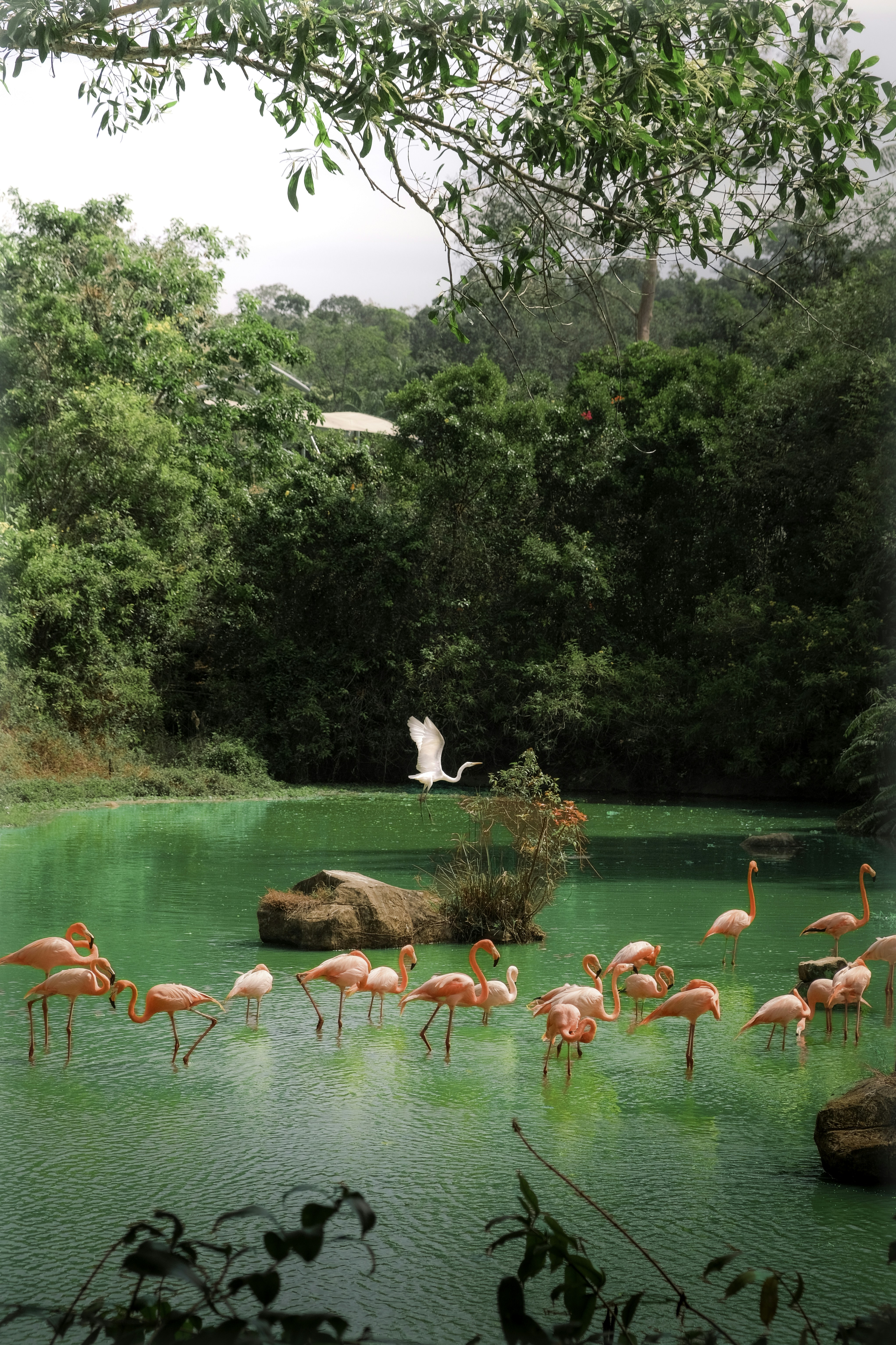 Photo by marishphoto