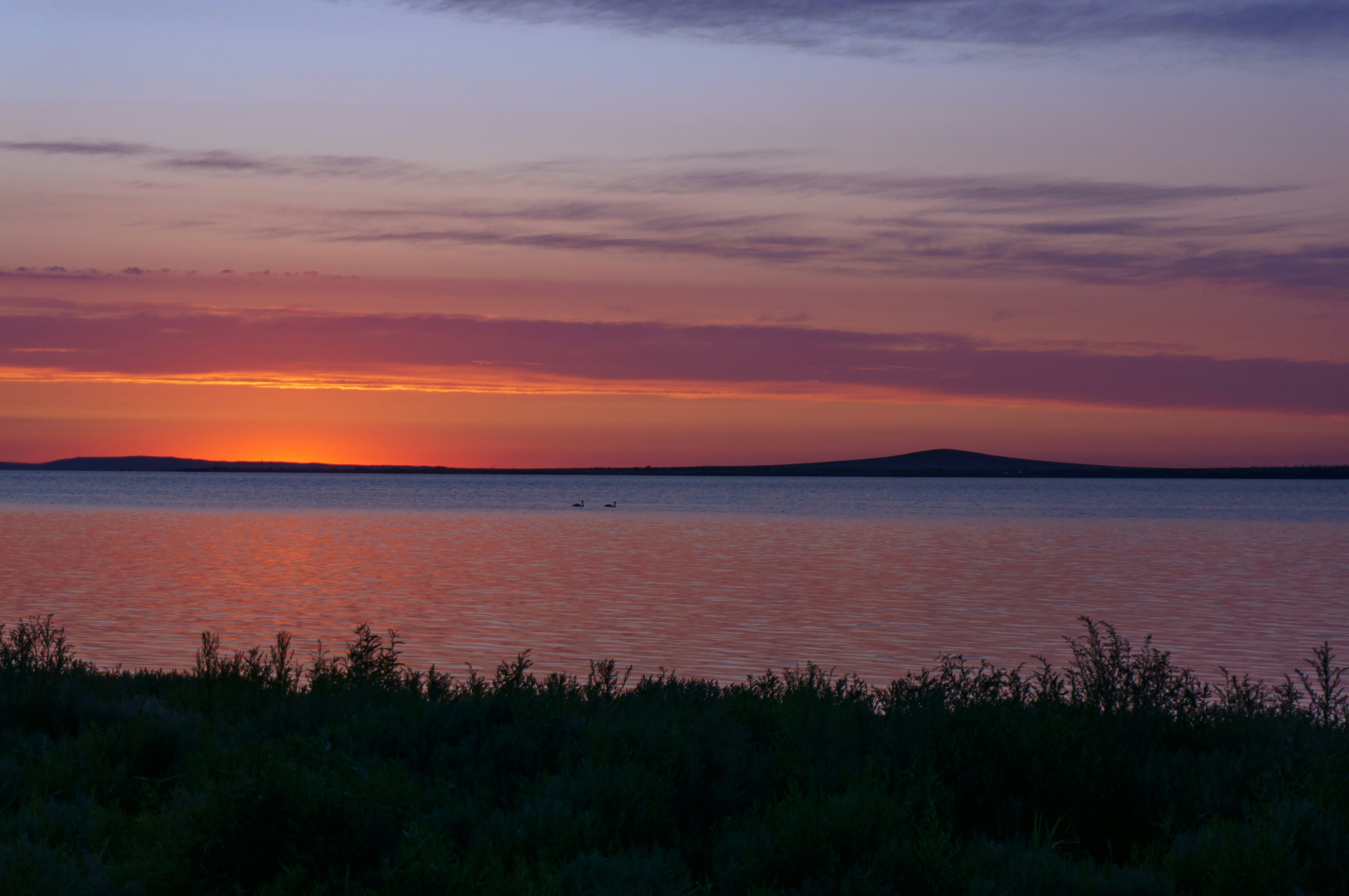 Photo by maksimzaviktorin