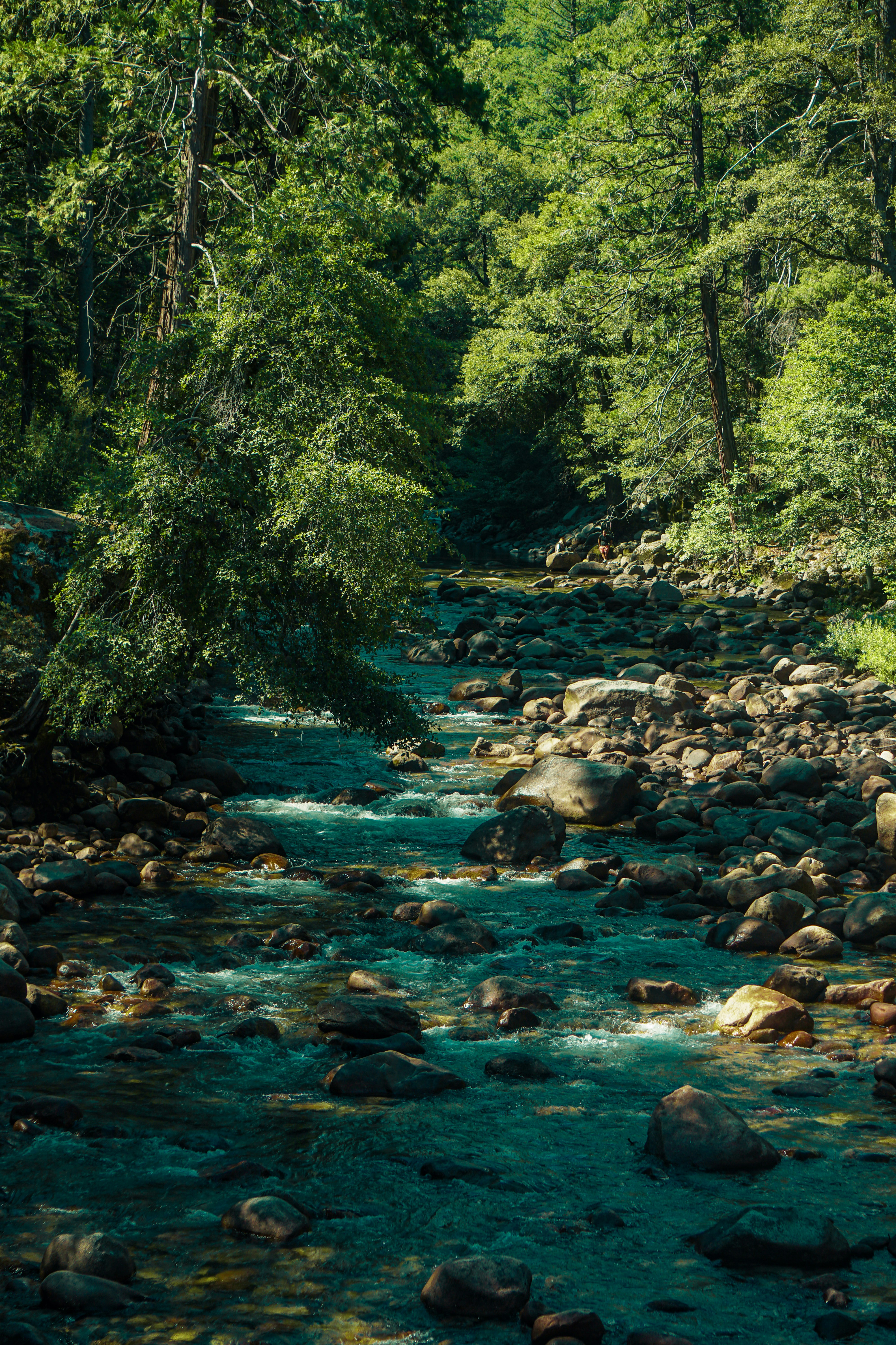 Photo by pmayorphotos