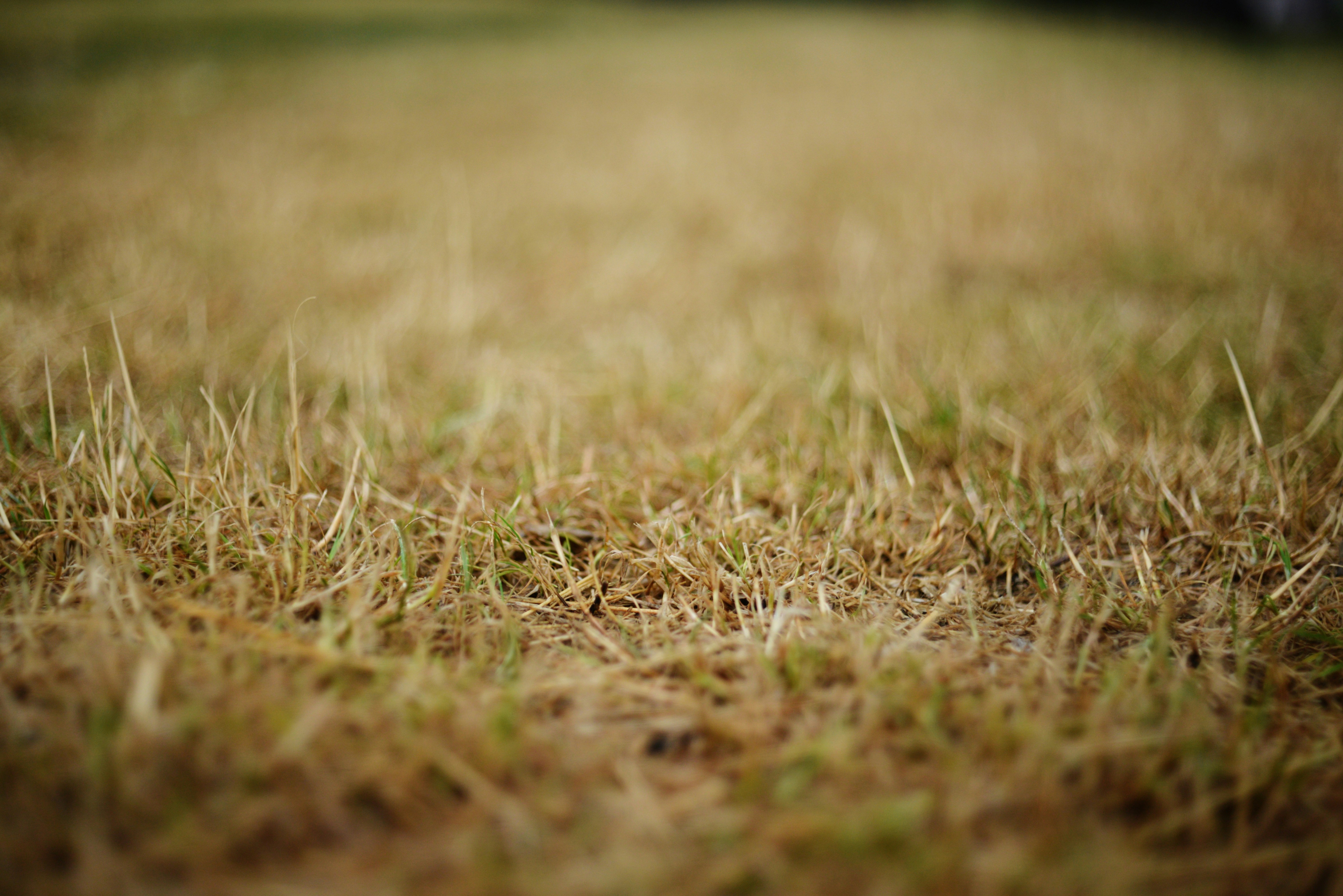 Photo by cherstve_pechivo