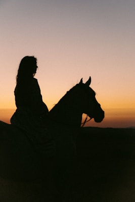 Trekking a cavallo tra muretti a secco e ulivi del Salento