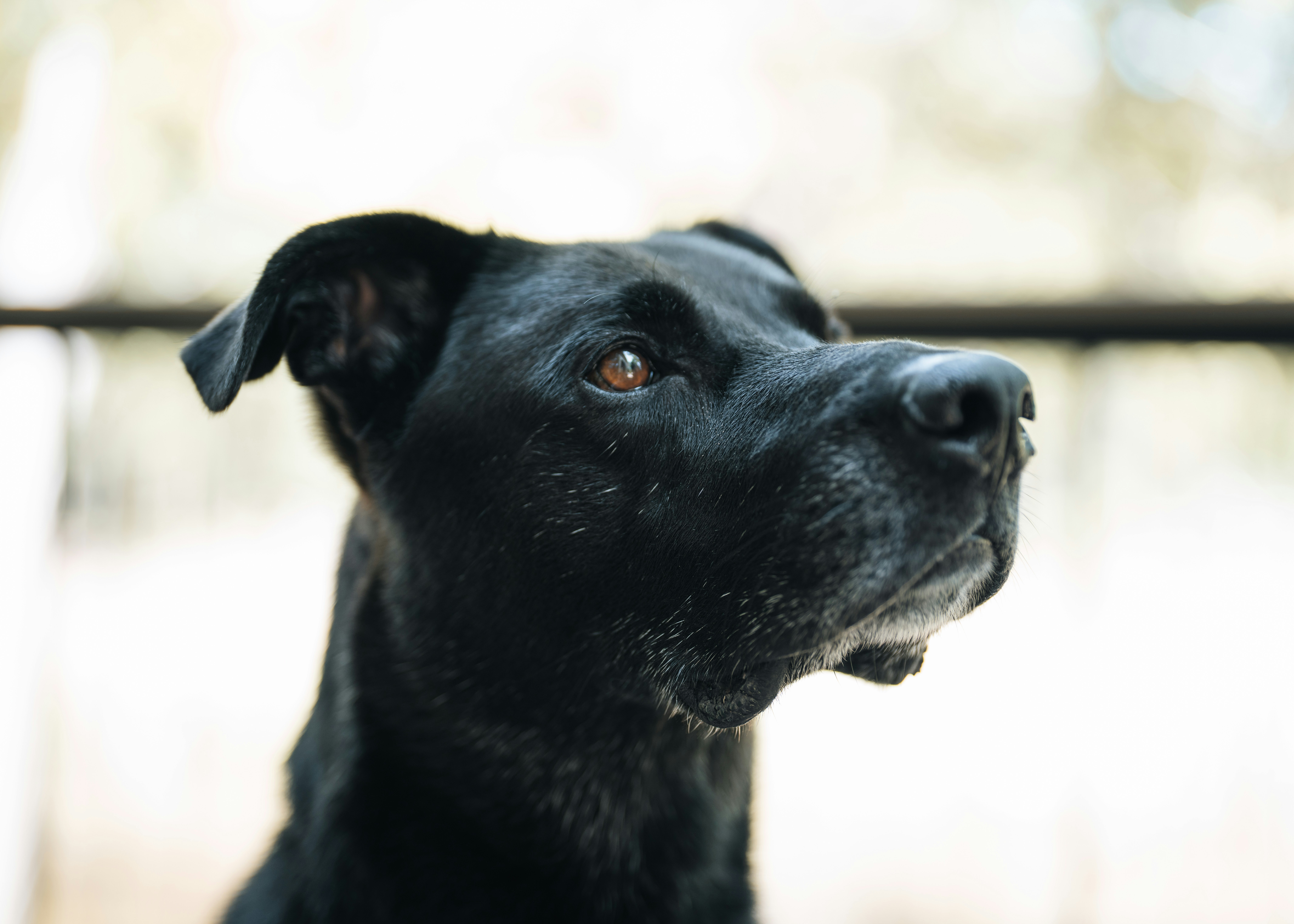 Photo by bugsandslugs