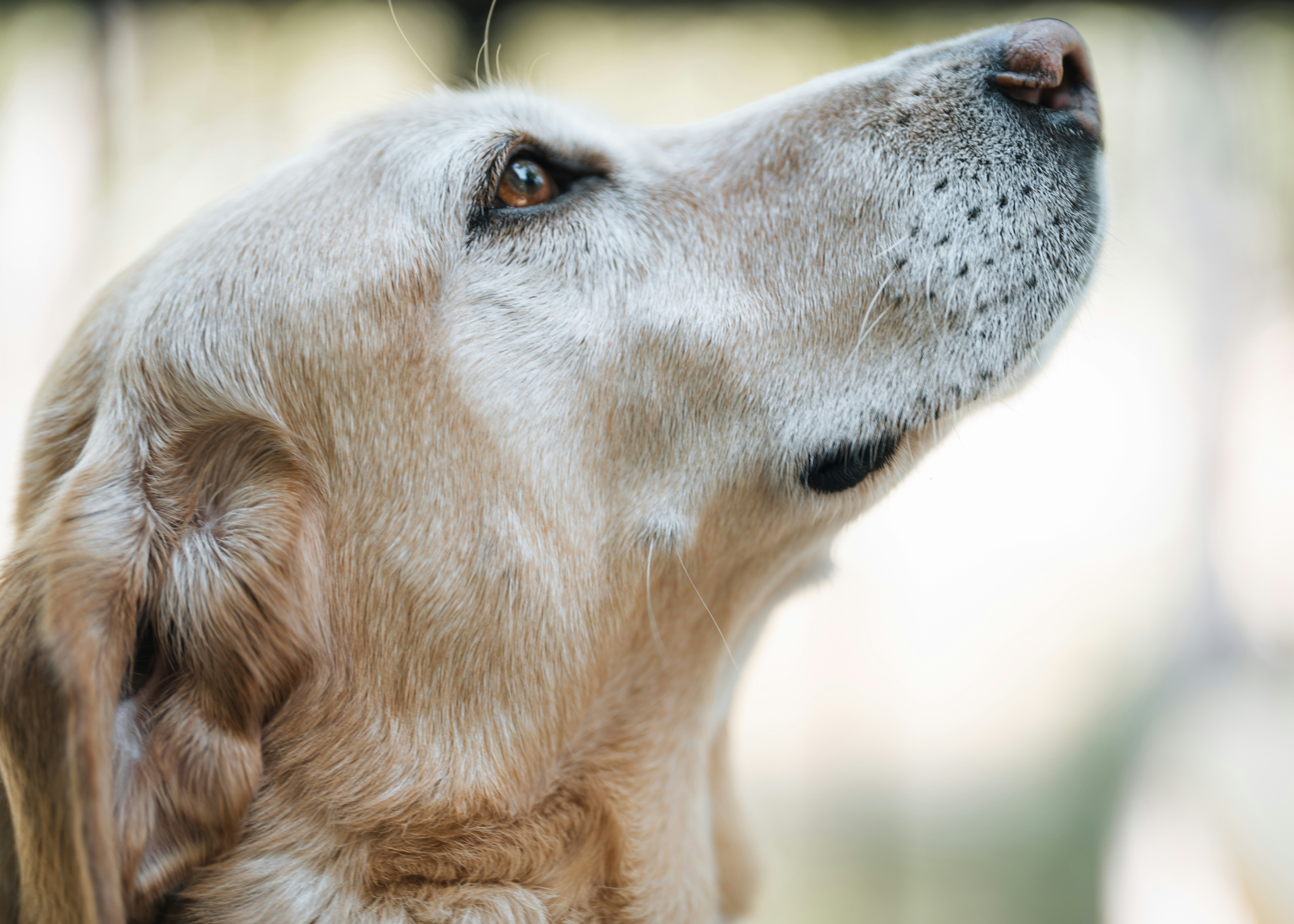 Photo by bugsandslugs