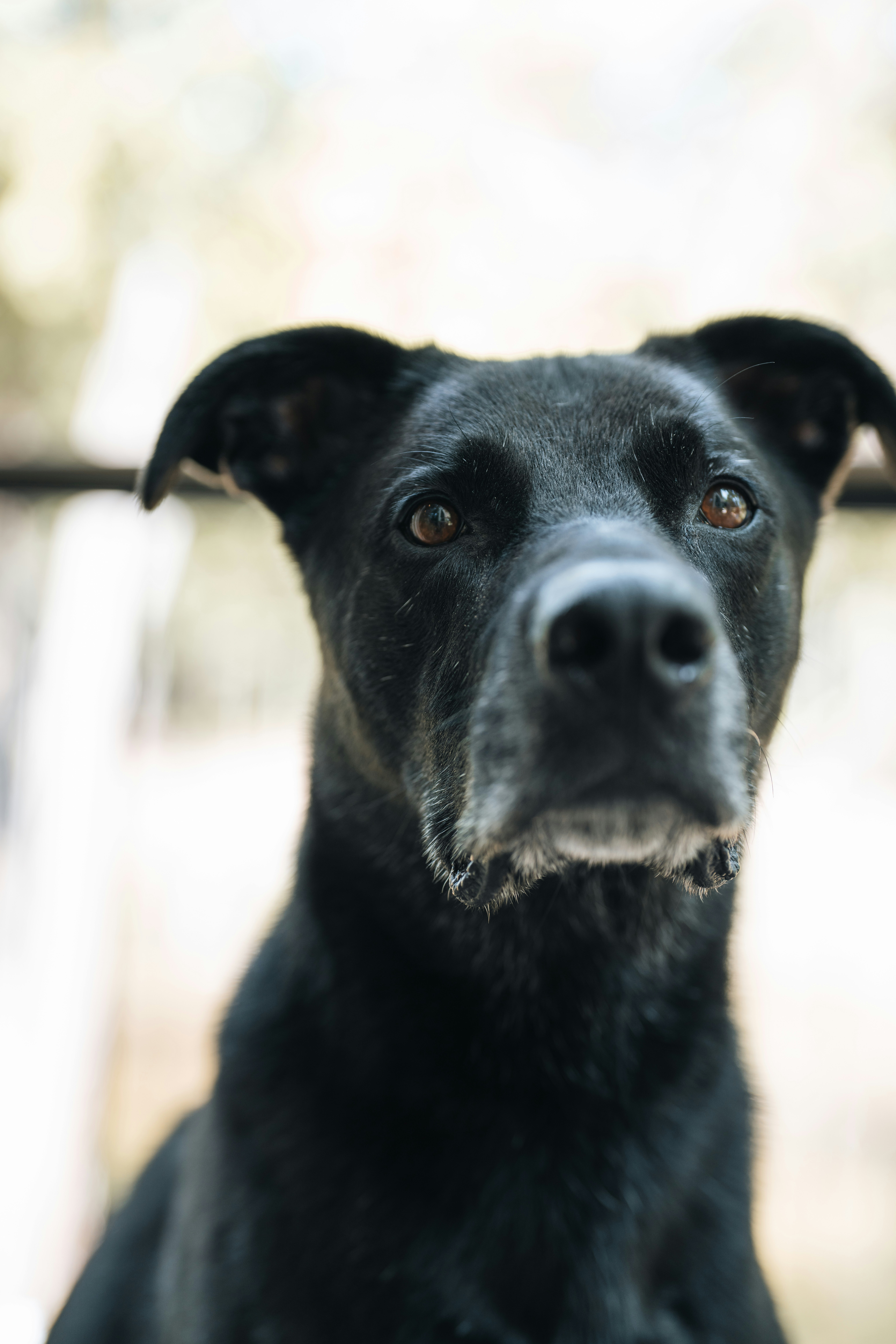 Photo by bugsandslugs