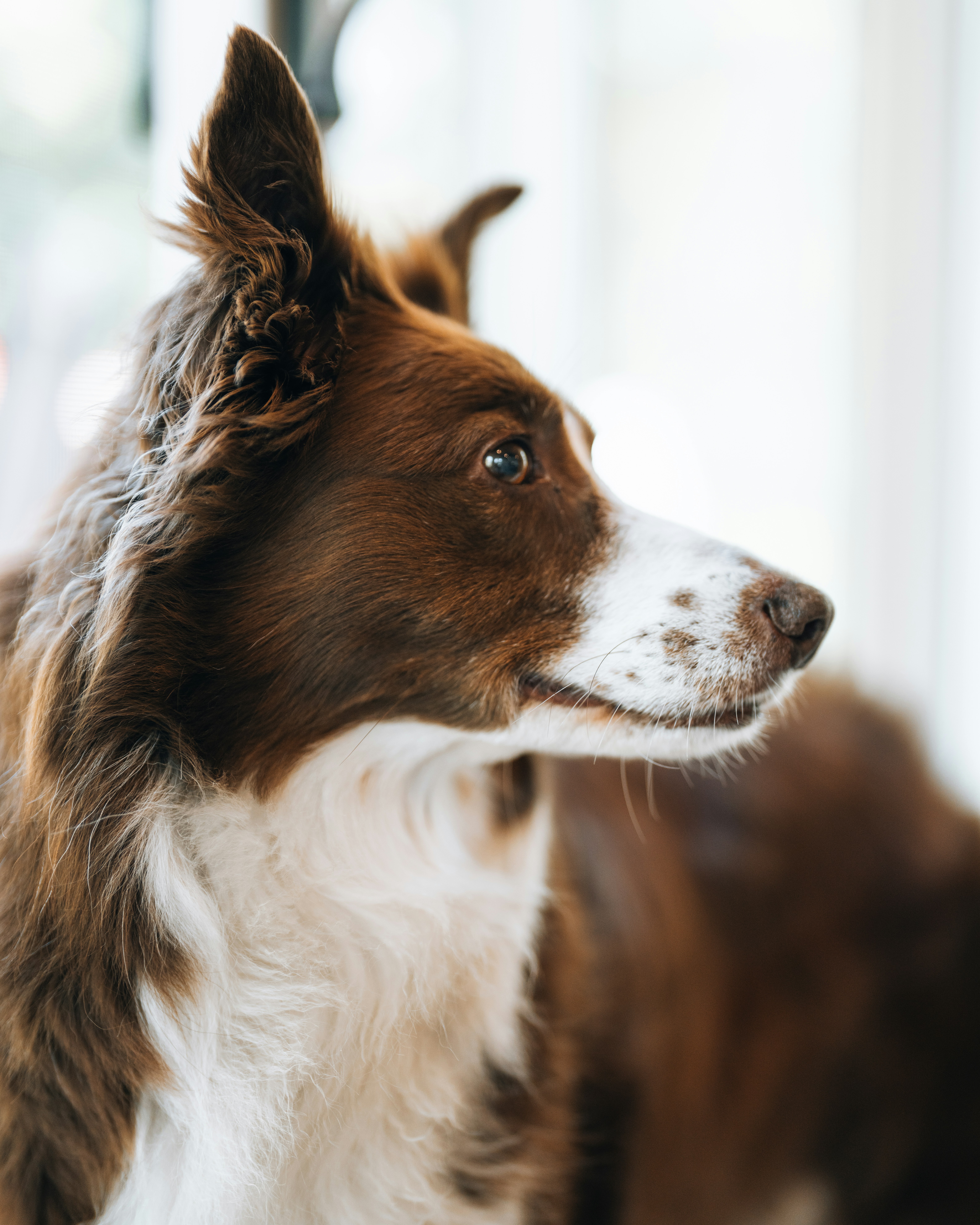 Photo by bugsandslugs