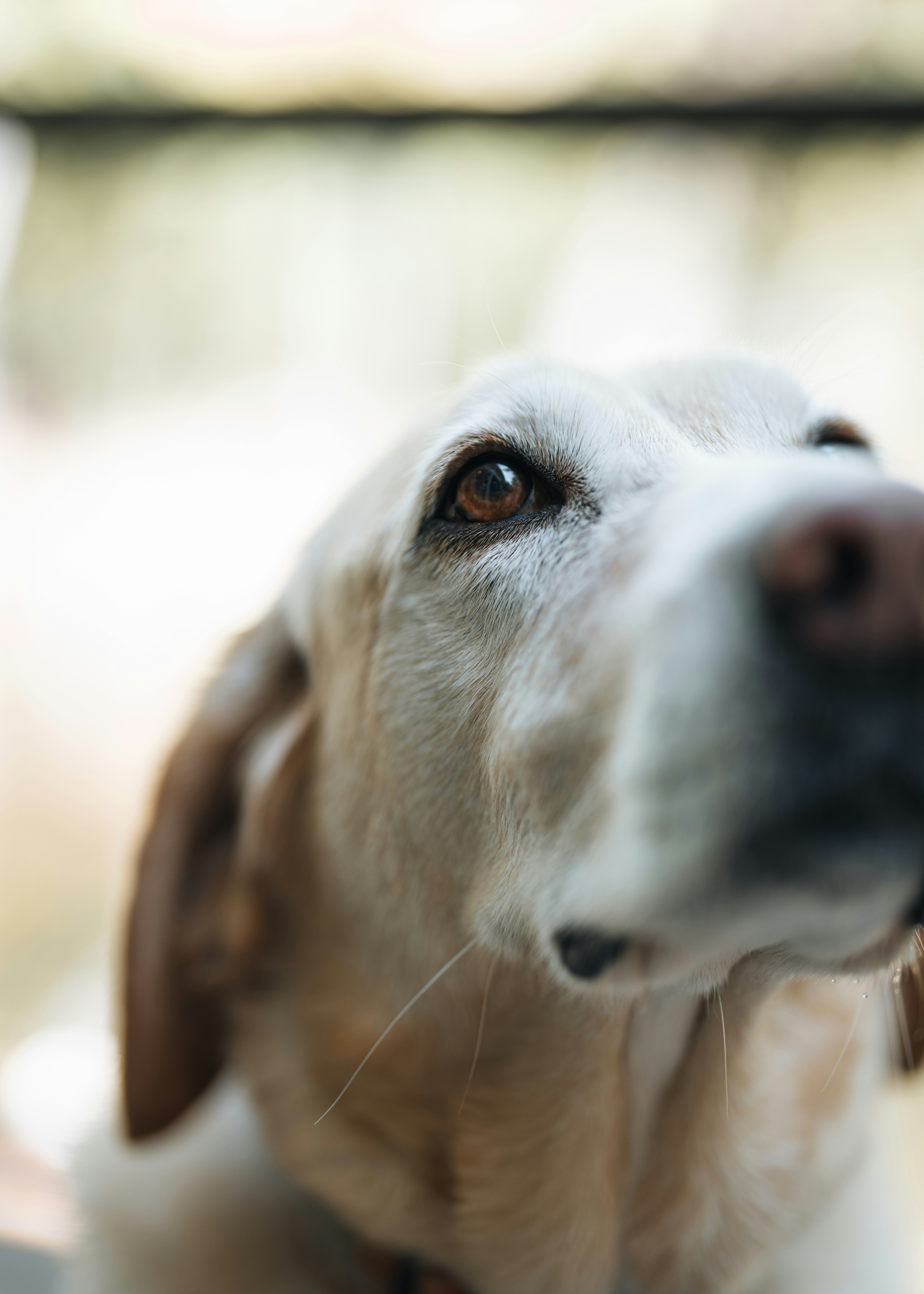 Photo by bugsandslugs