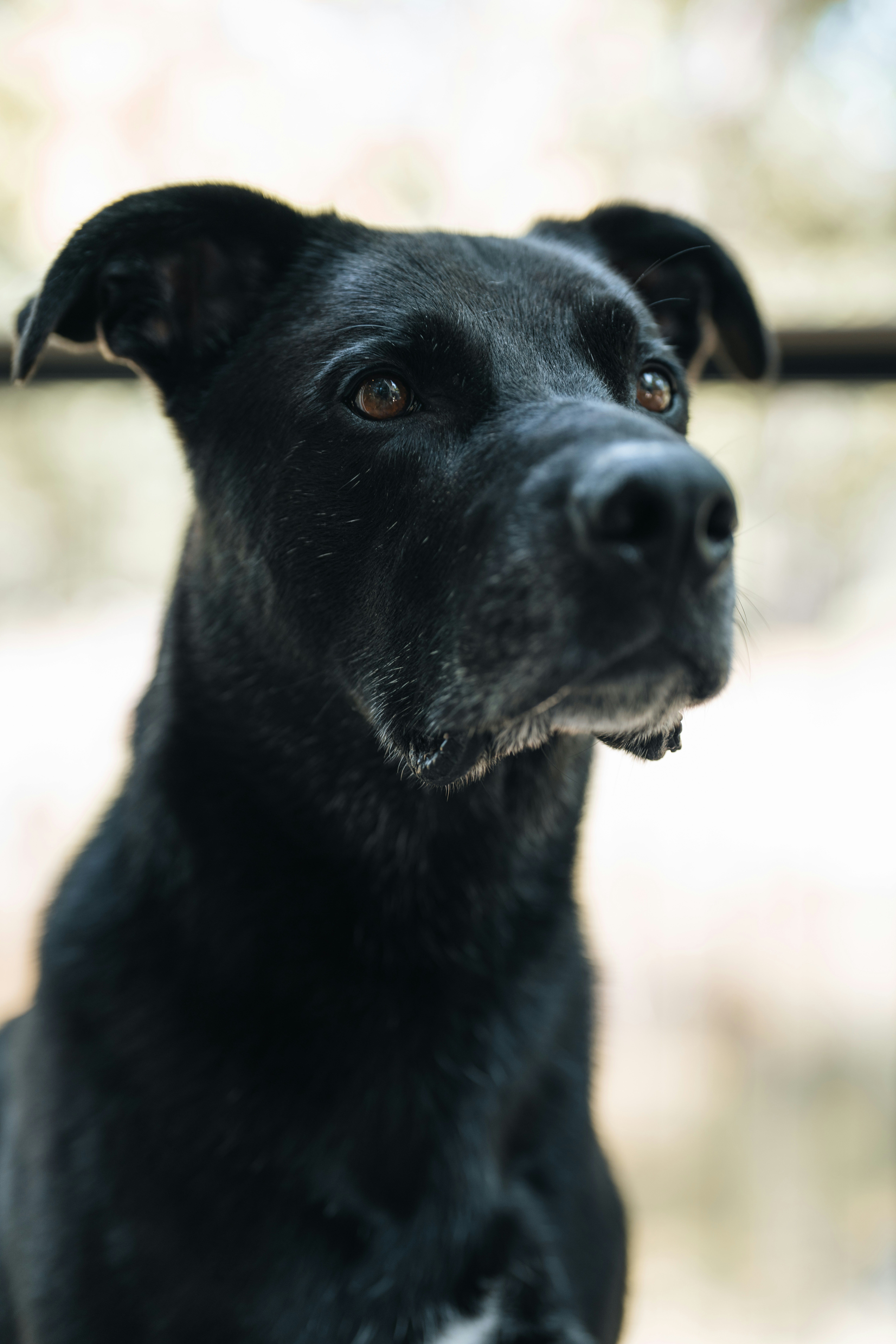 Photo by bugsandslugs