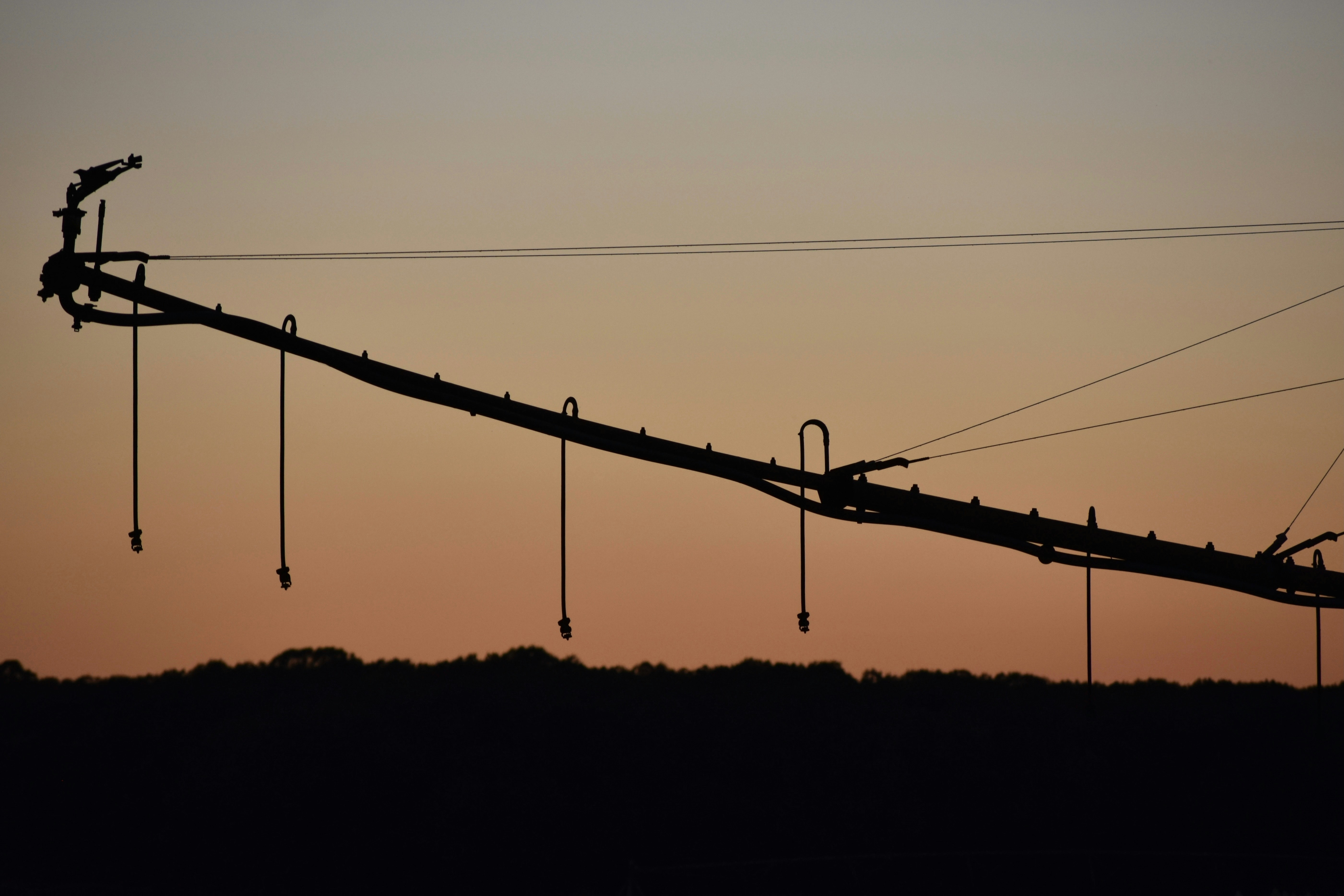 Photo by triciabennett