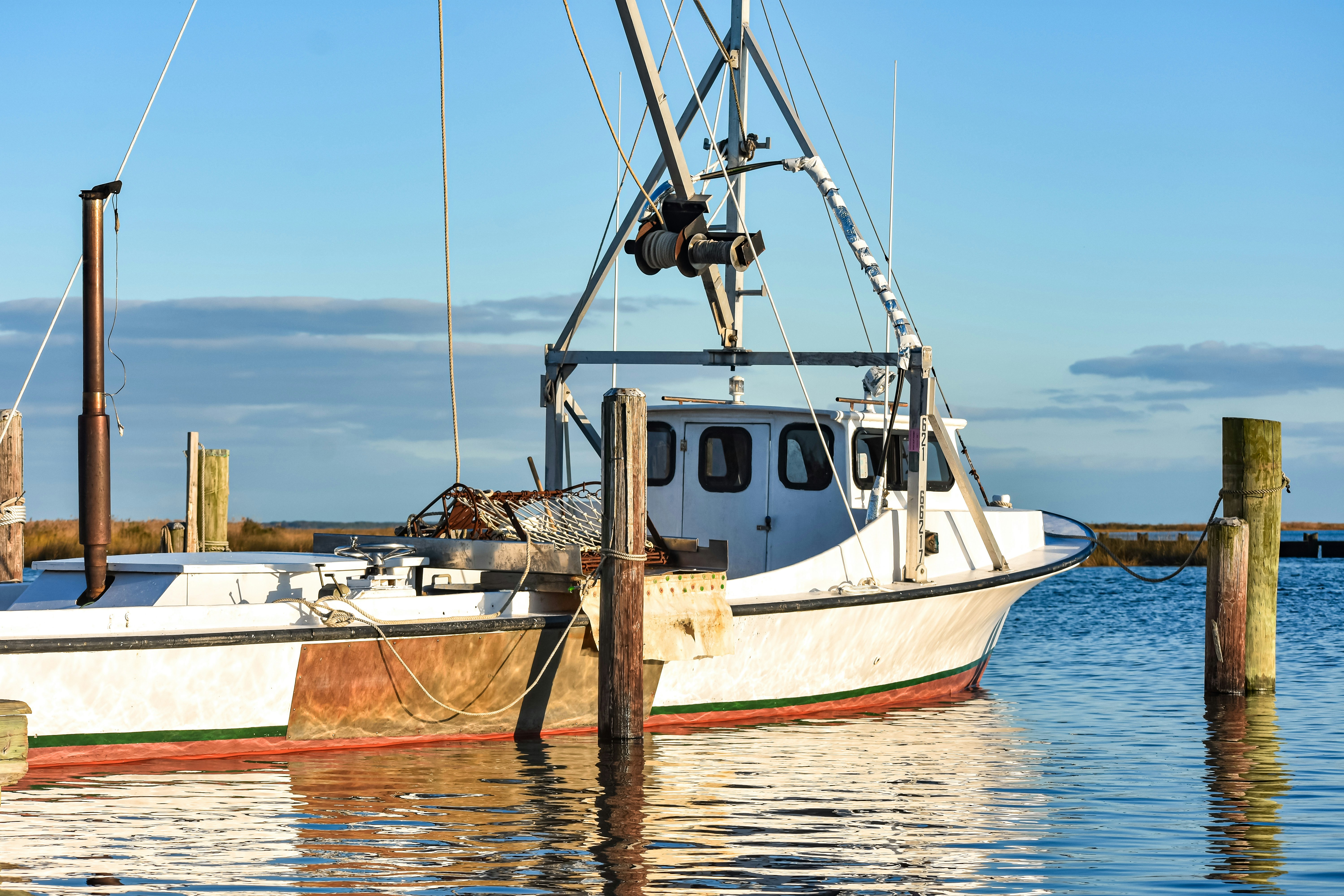 Photo by triciabennett