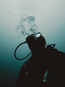 A scuba diver explores underwater.