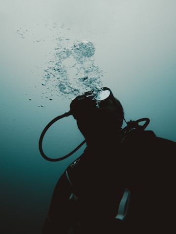 A scuba diver explores underwater.
