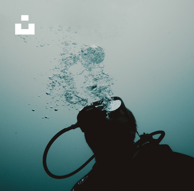 UnsplashのMax Zaharenkovが撮影した写真