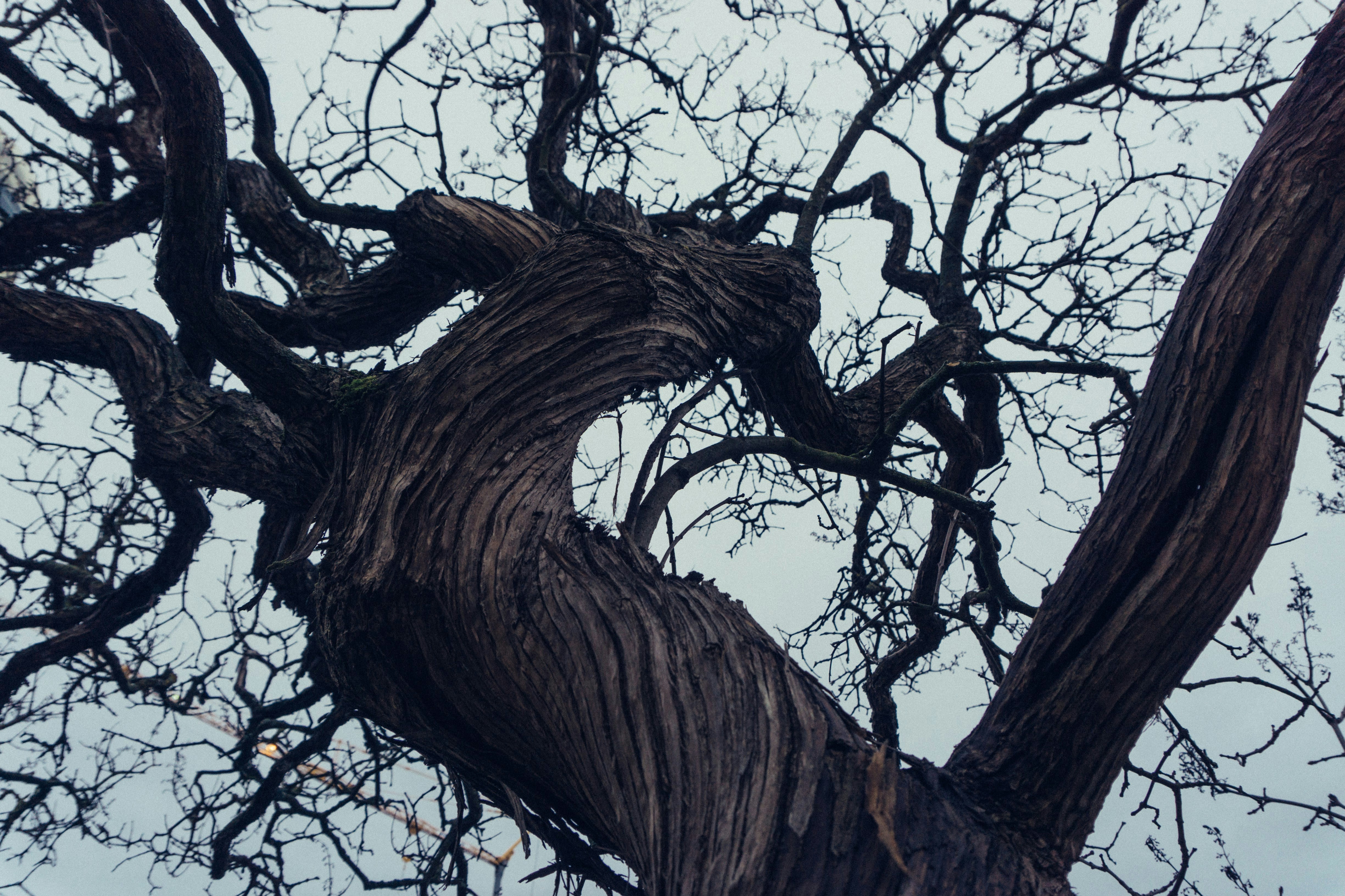 Photo by jacobreinikainen