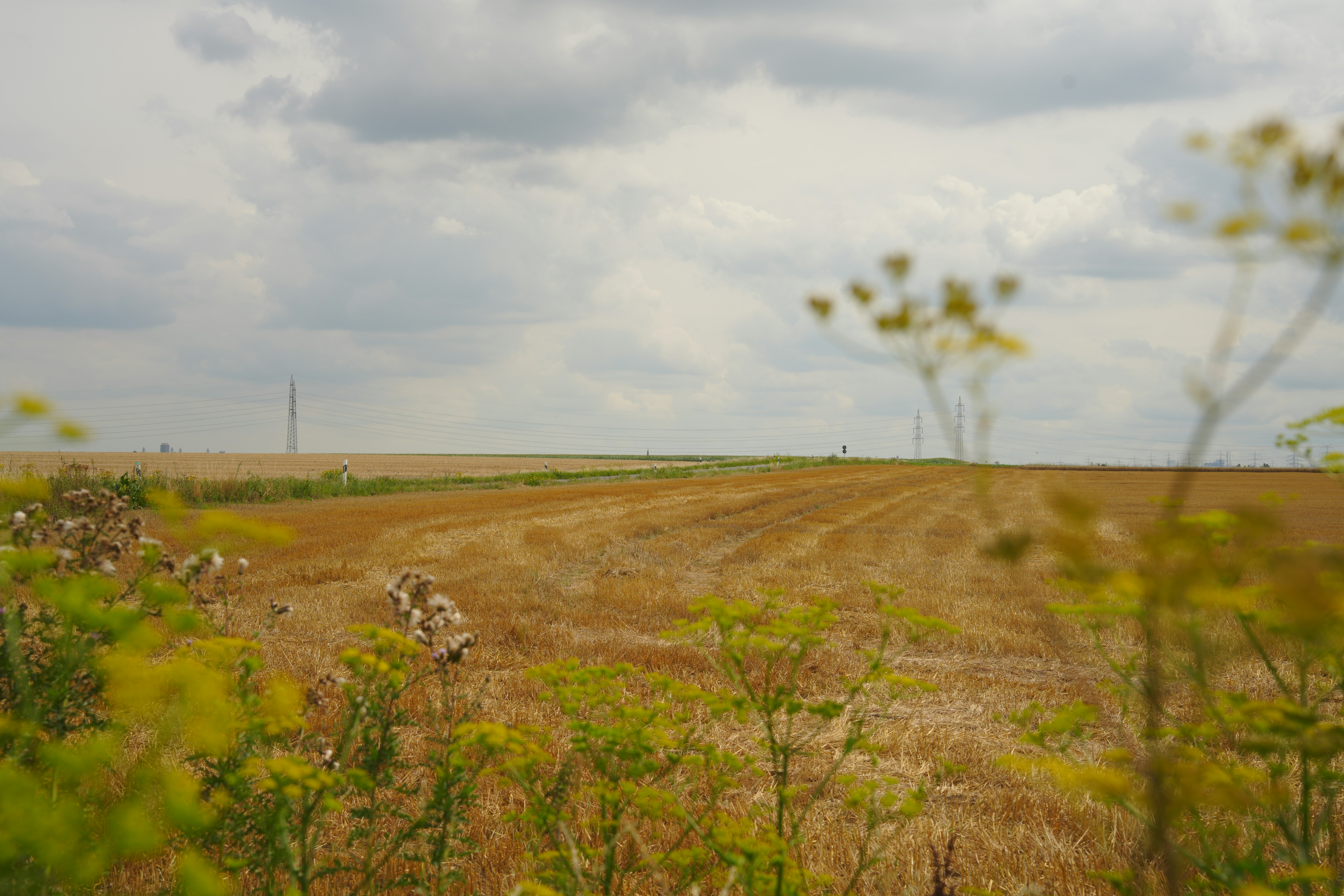 Photo by sorinbasangeac