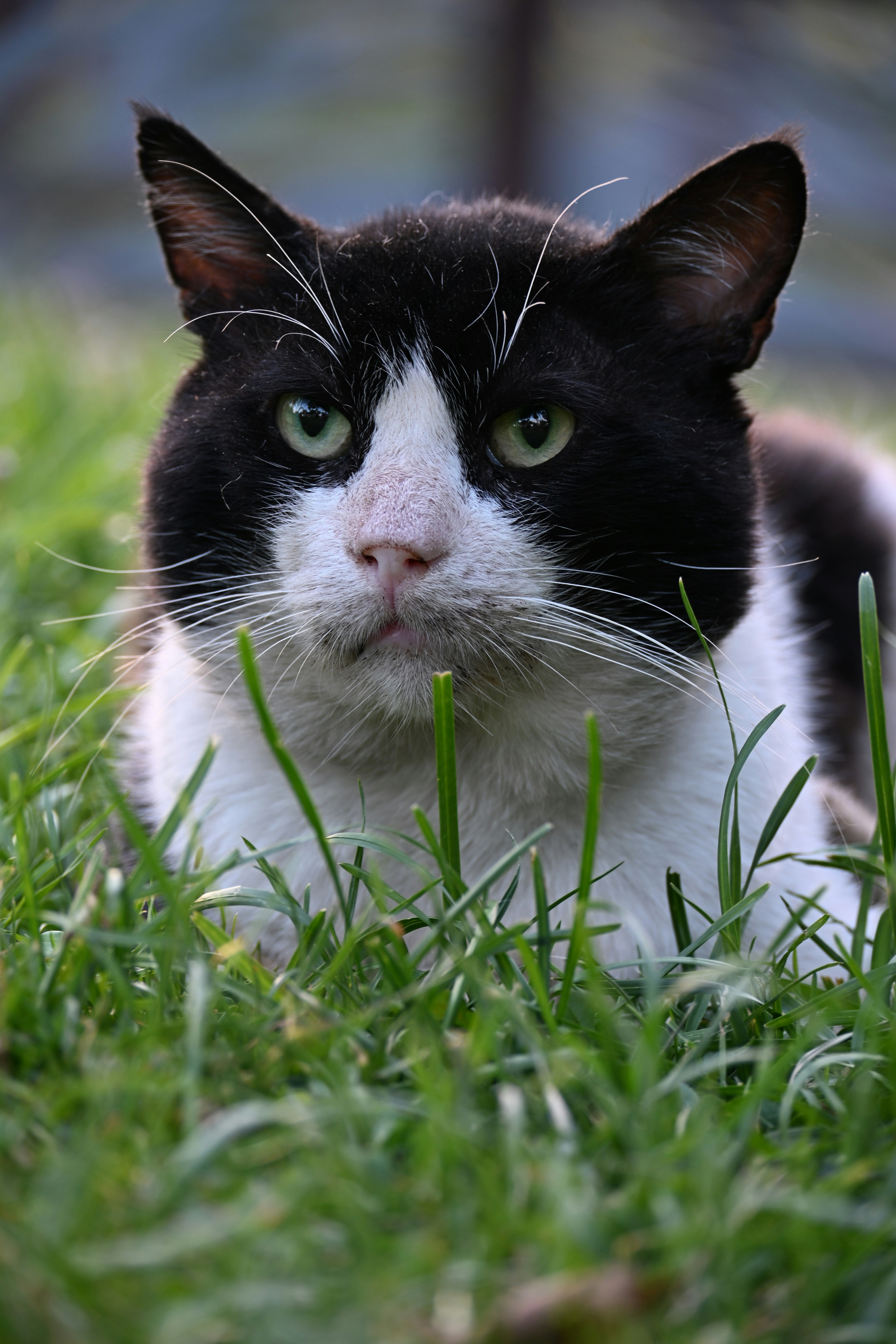 Photo by halilcelikhic