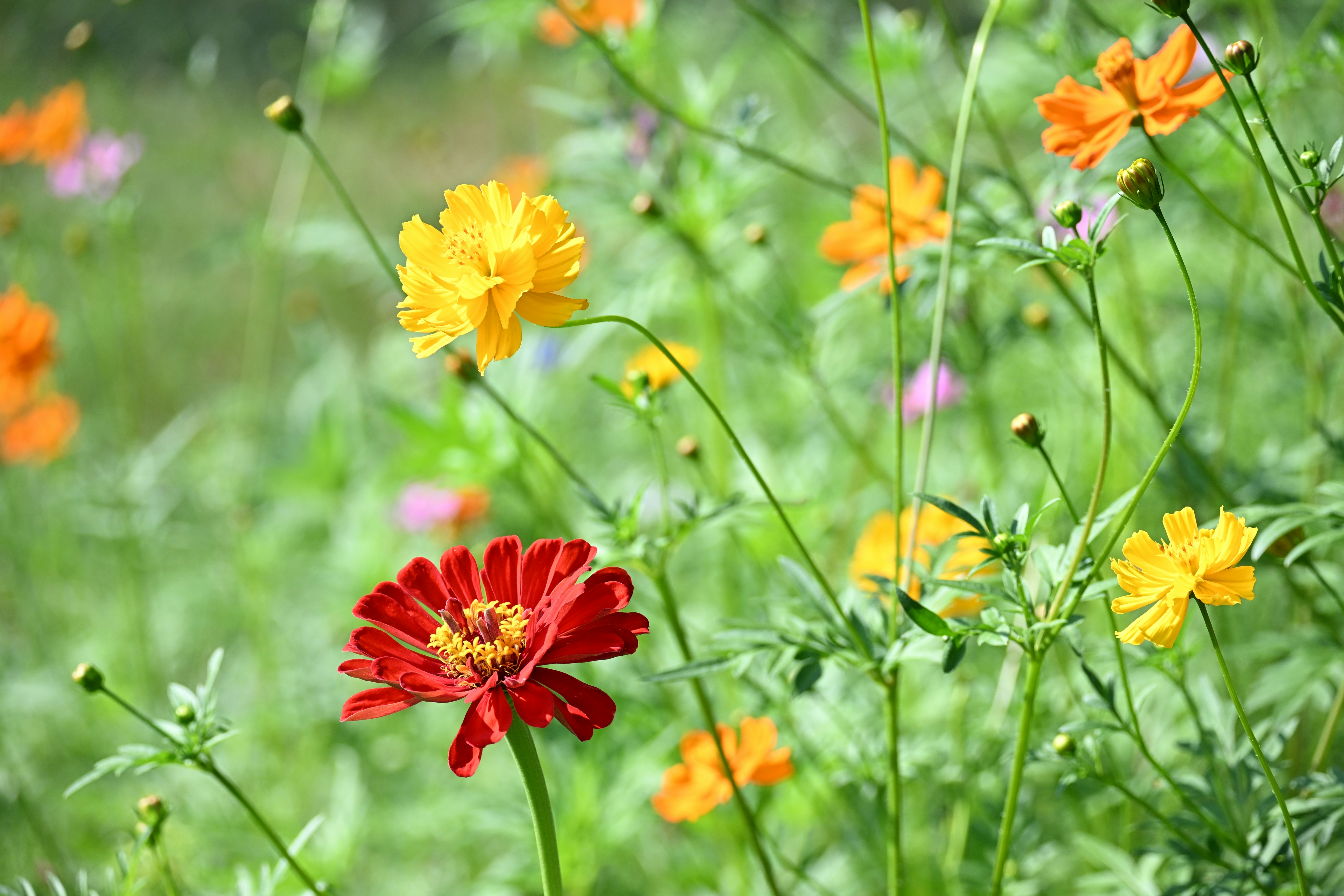 Photo by halilcelikhic