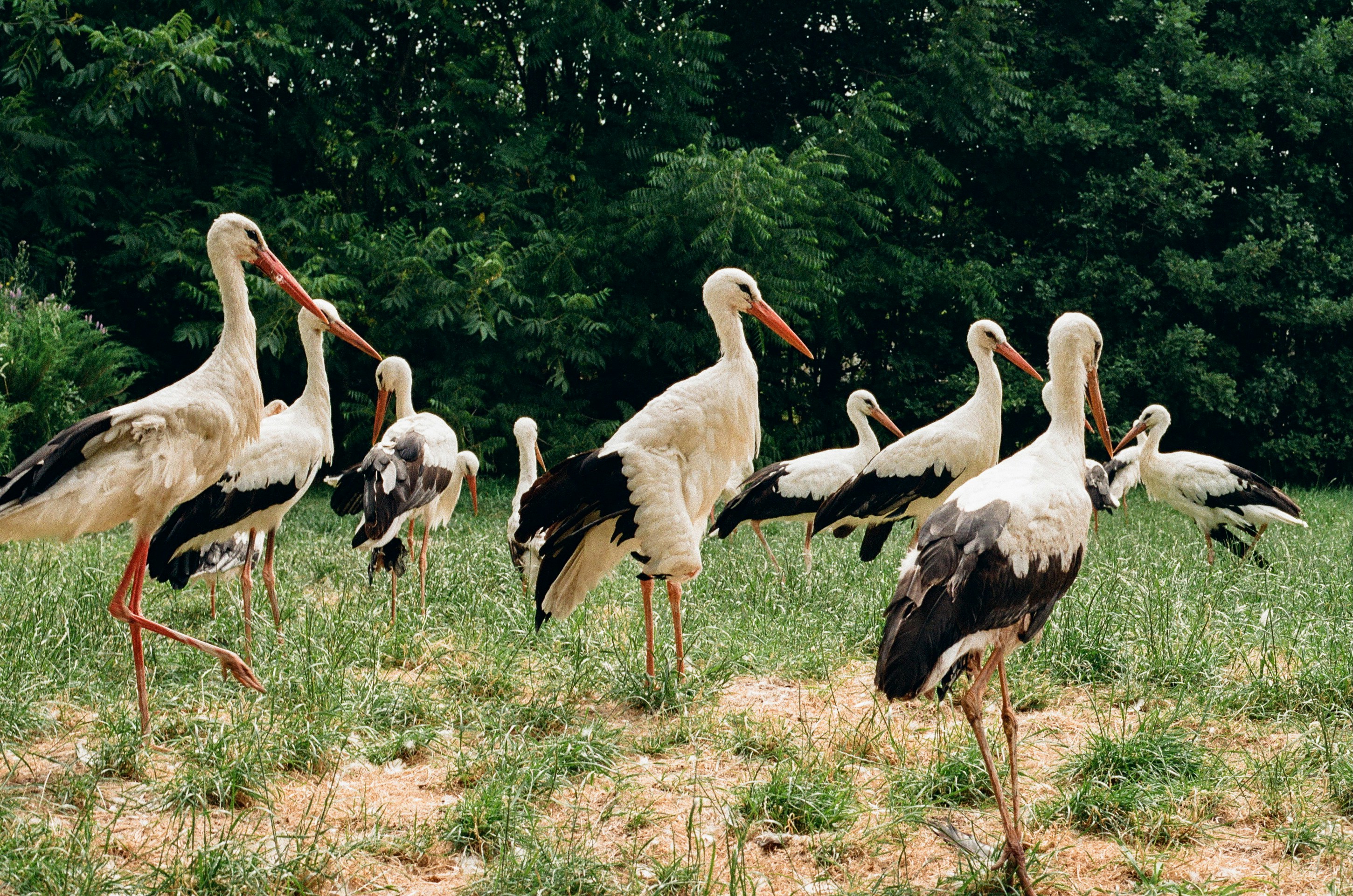 Photo by voloshchenkoal