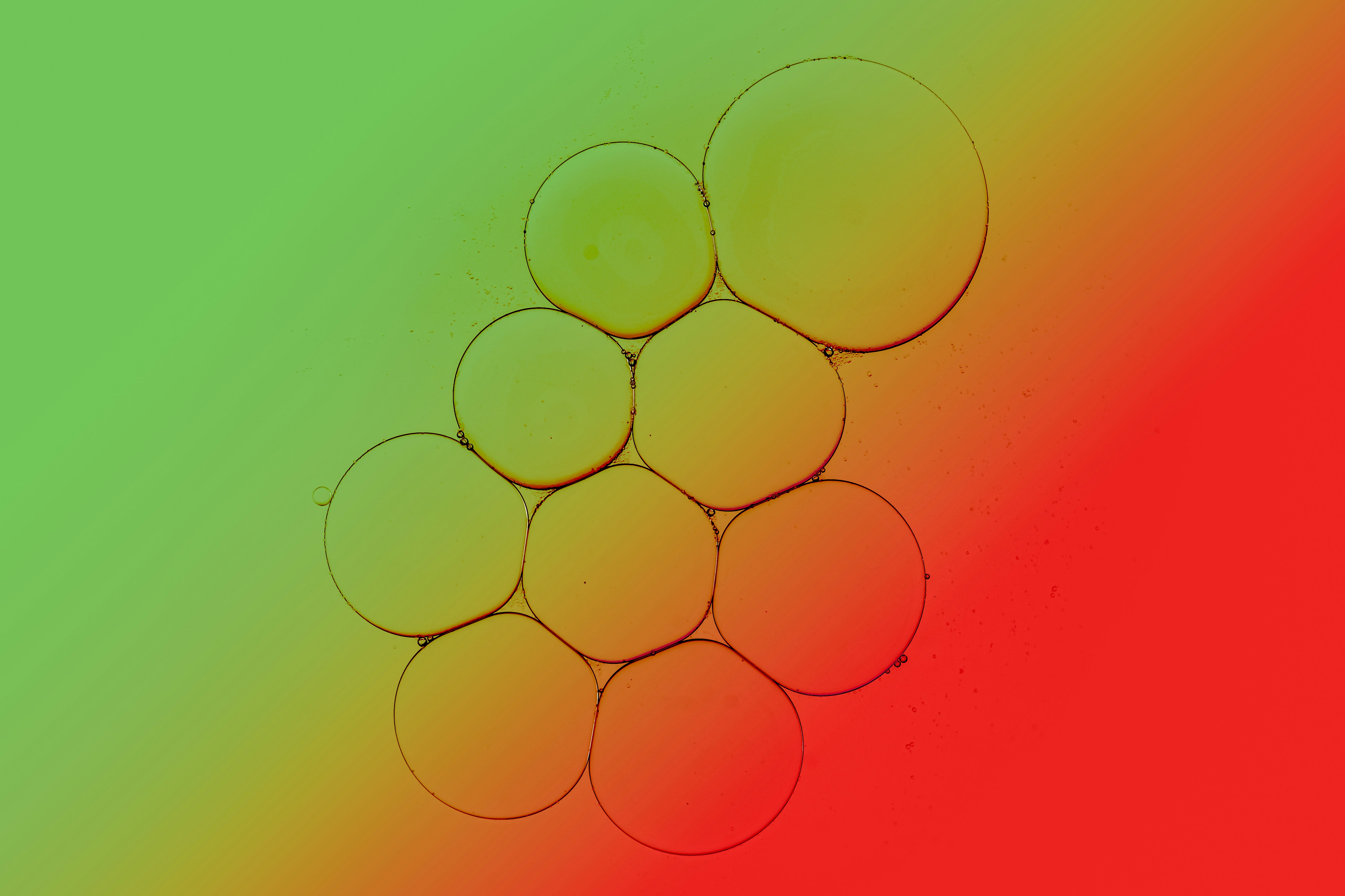 Get Over Post-LASIK Pain, Completely Dry Eyes, And Light Level Of Sensitivity With Vital Suggestions; Check Out Reliable Techniques For An Extra Seamless Healing Process