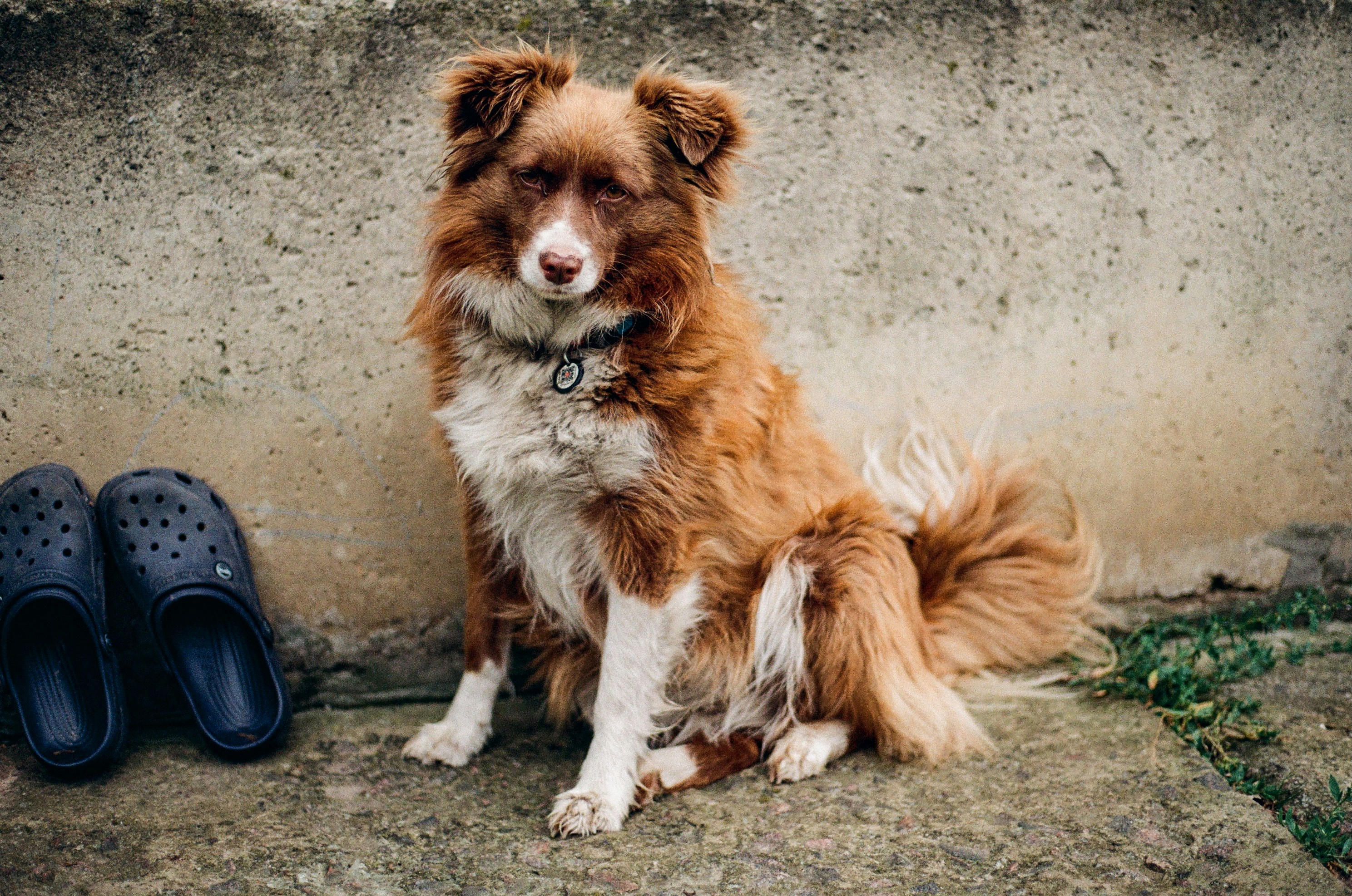 Photo by voloshchenkoal