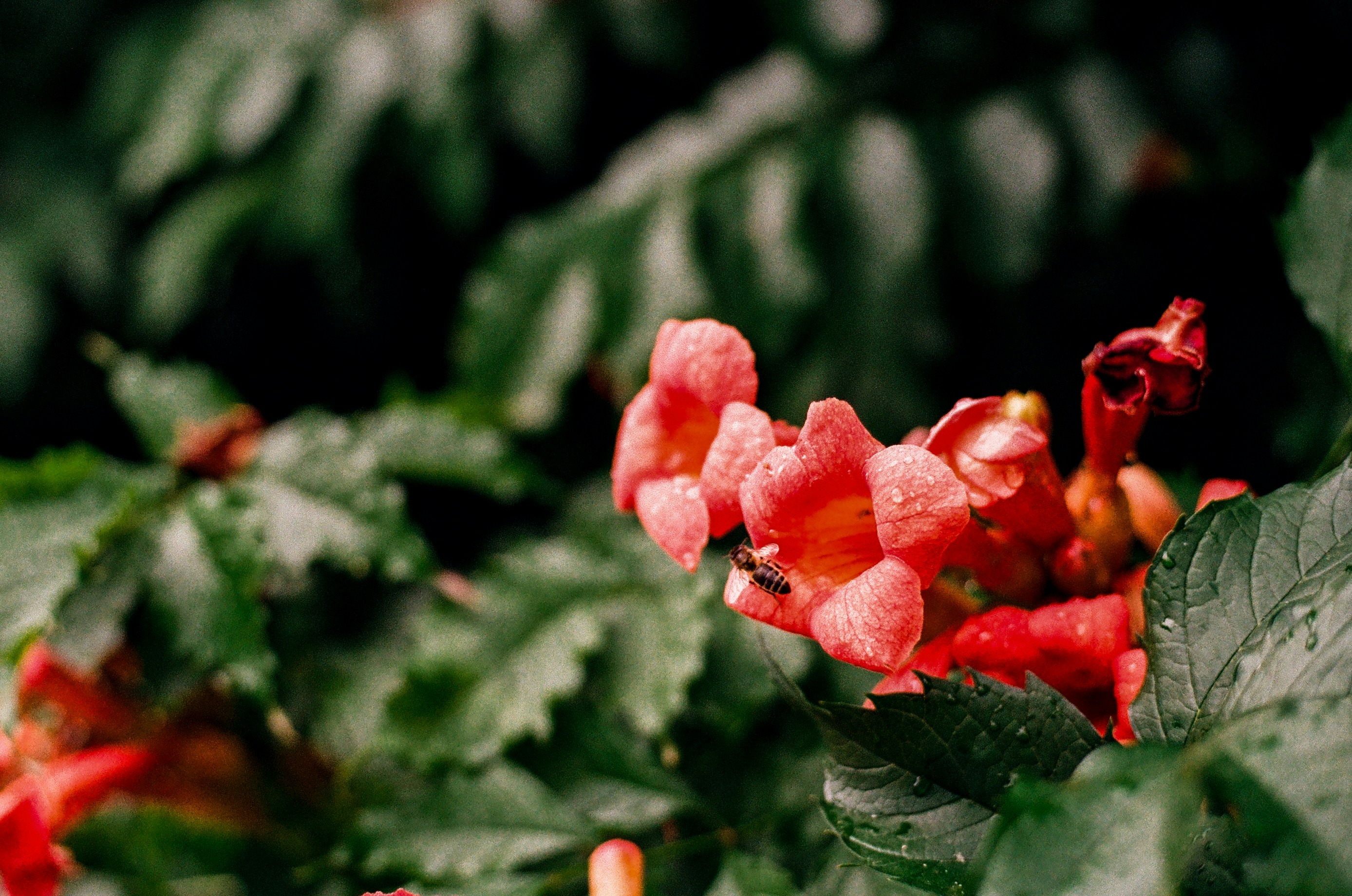 Photo by voloshchenkoal