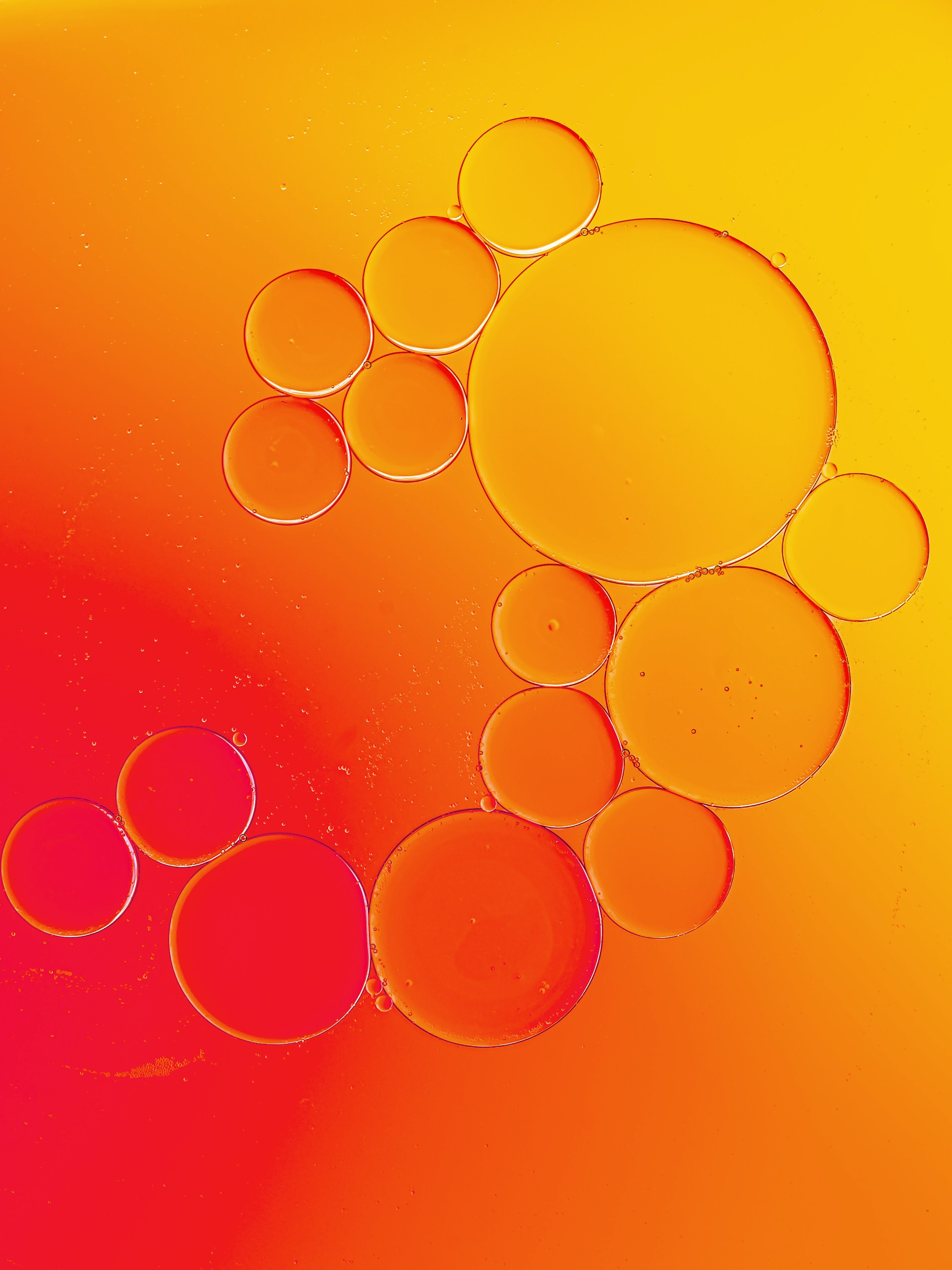 Oil bubbles float against a bright, colorful backdrop.