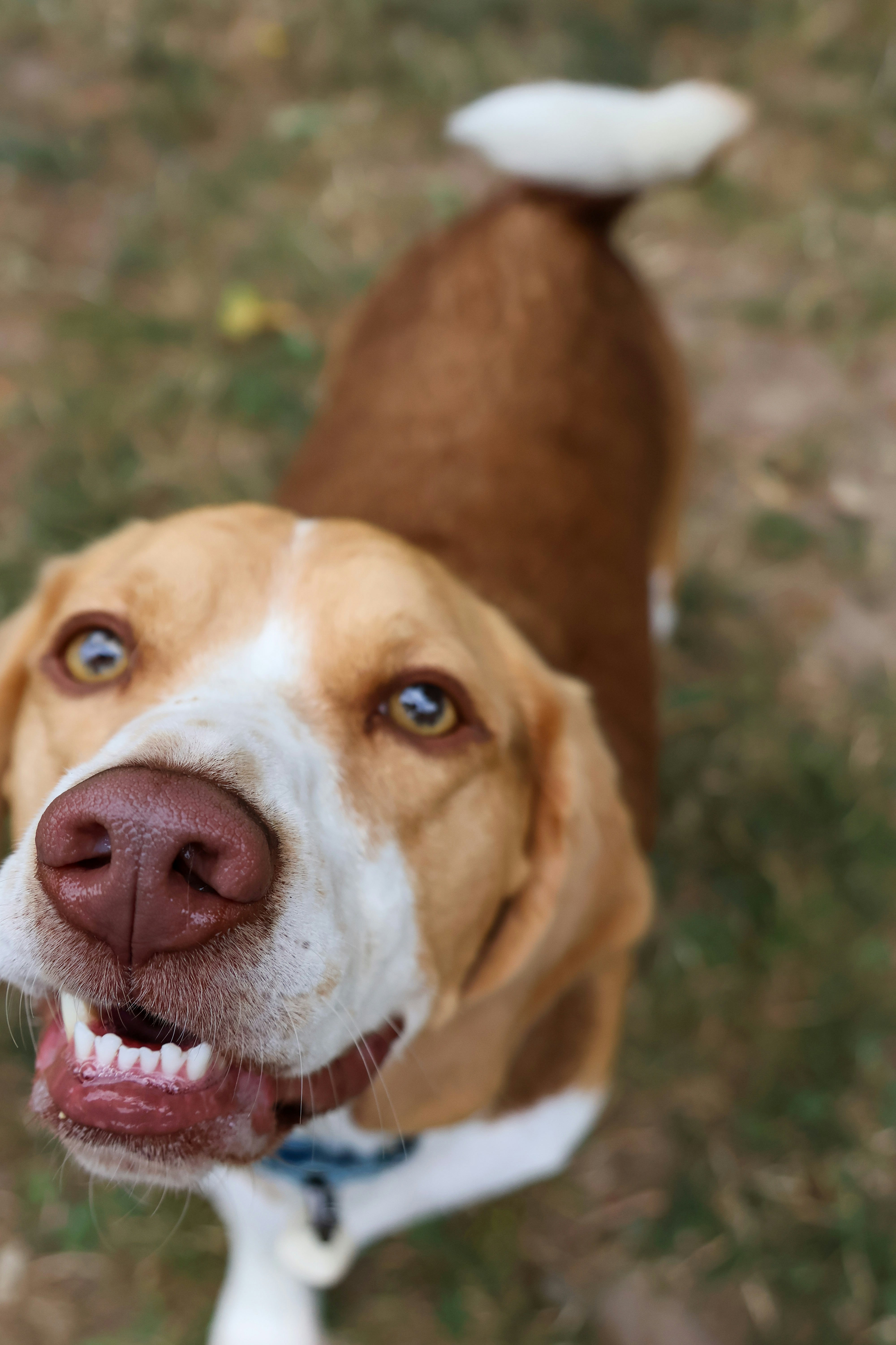 Photo by traveleroohlala