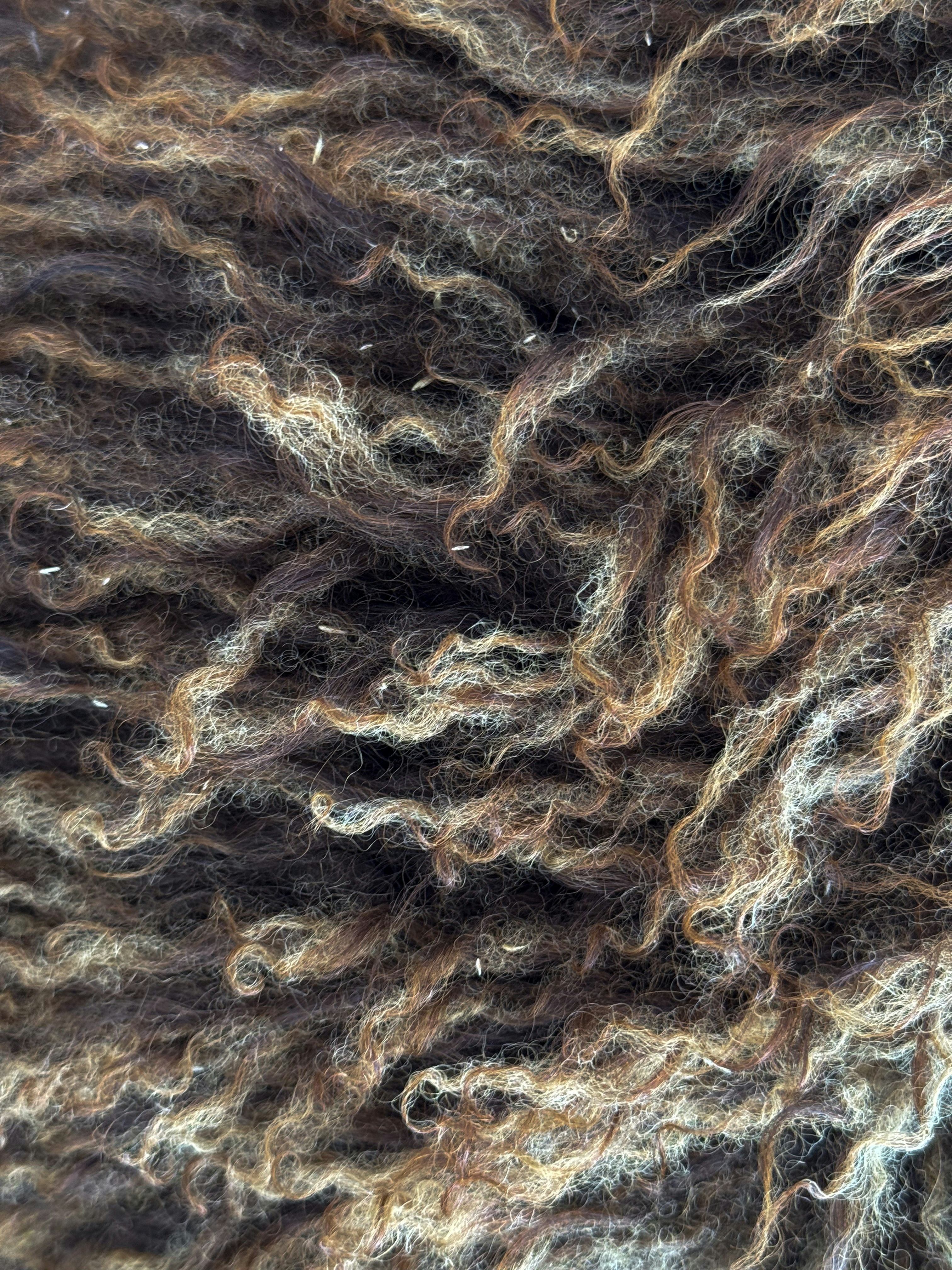 Here is a caption: close-up view of curly brown and tan wool.