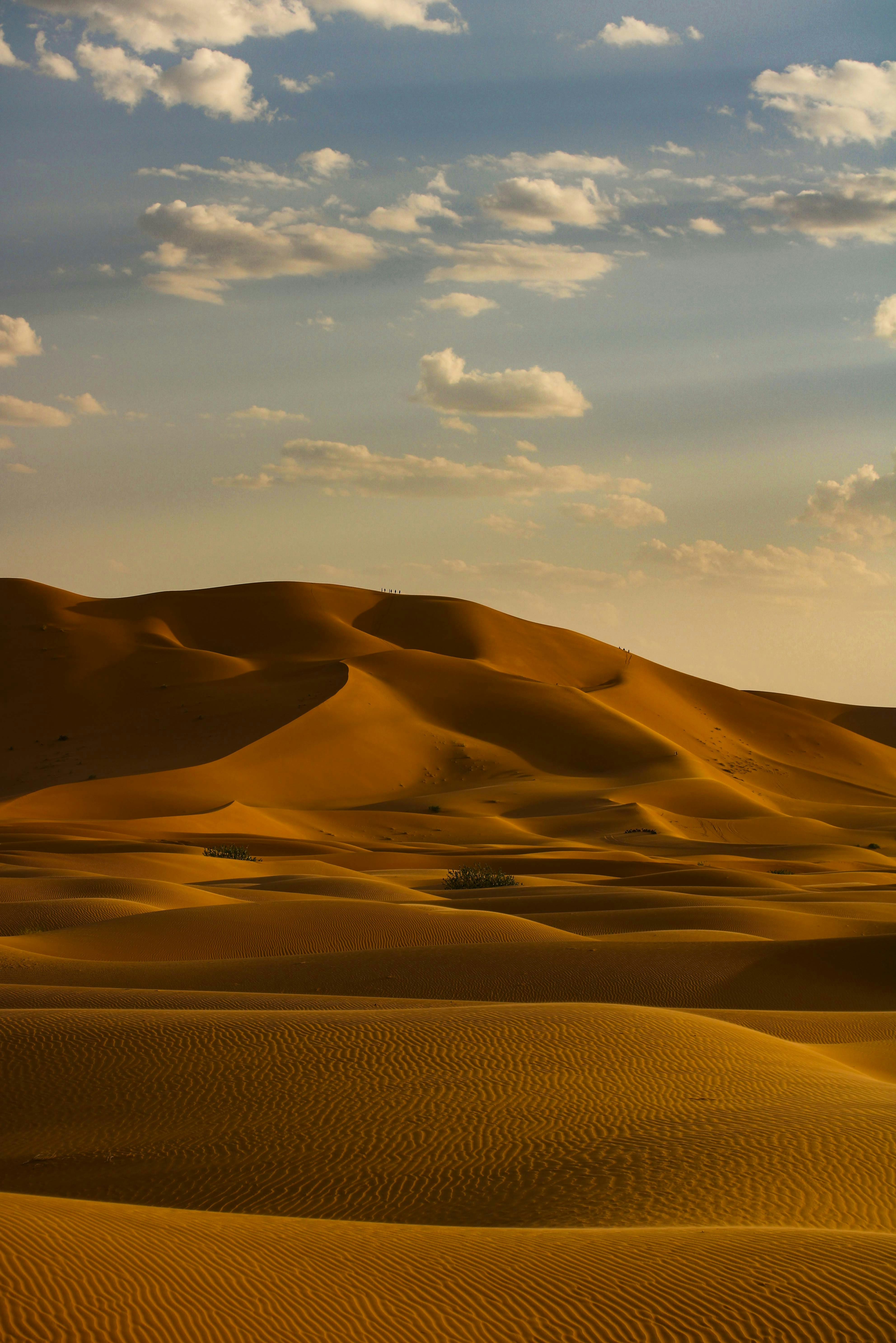 Photo by cippicippiphoto