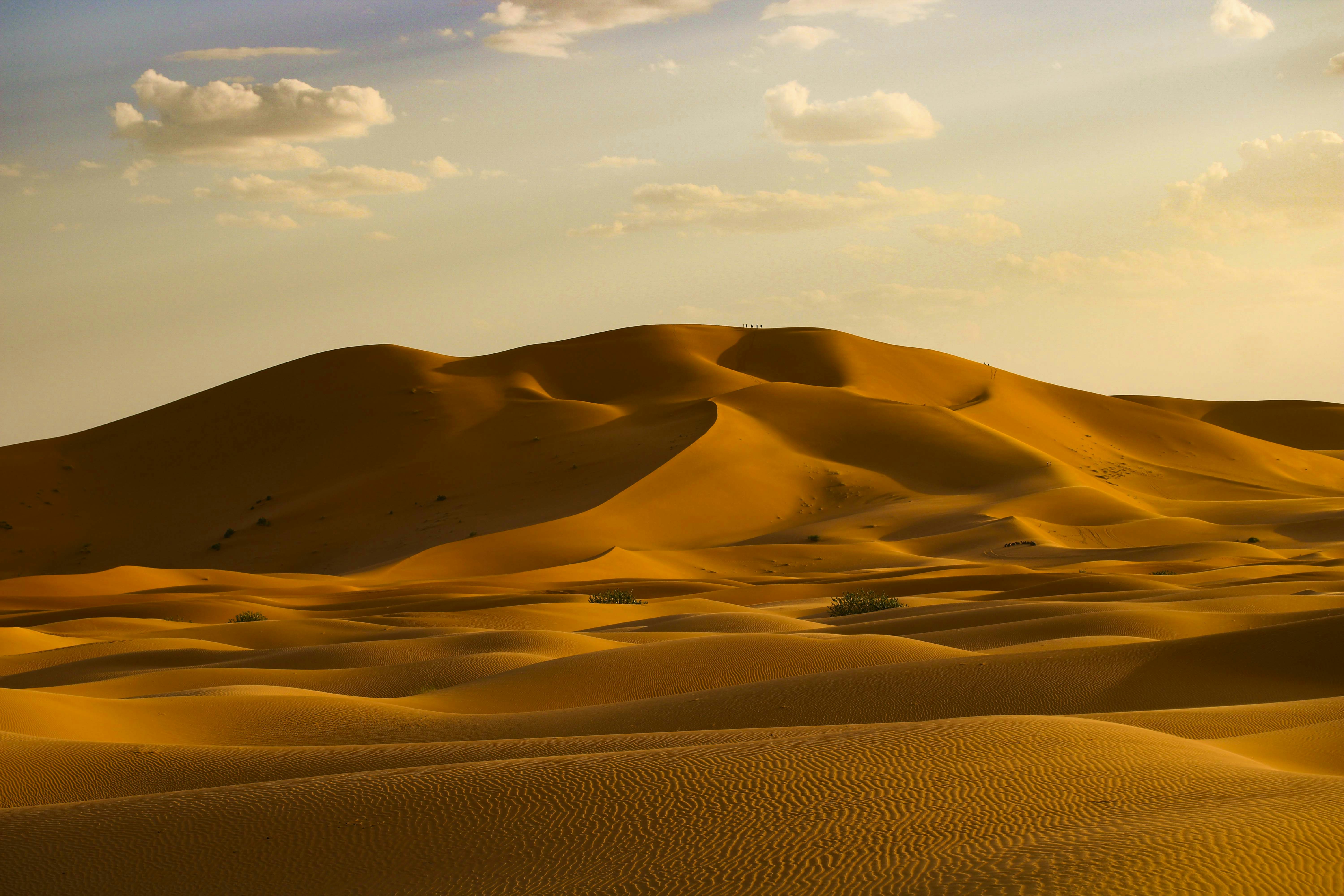 Photo by cippicippiphoto