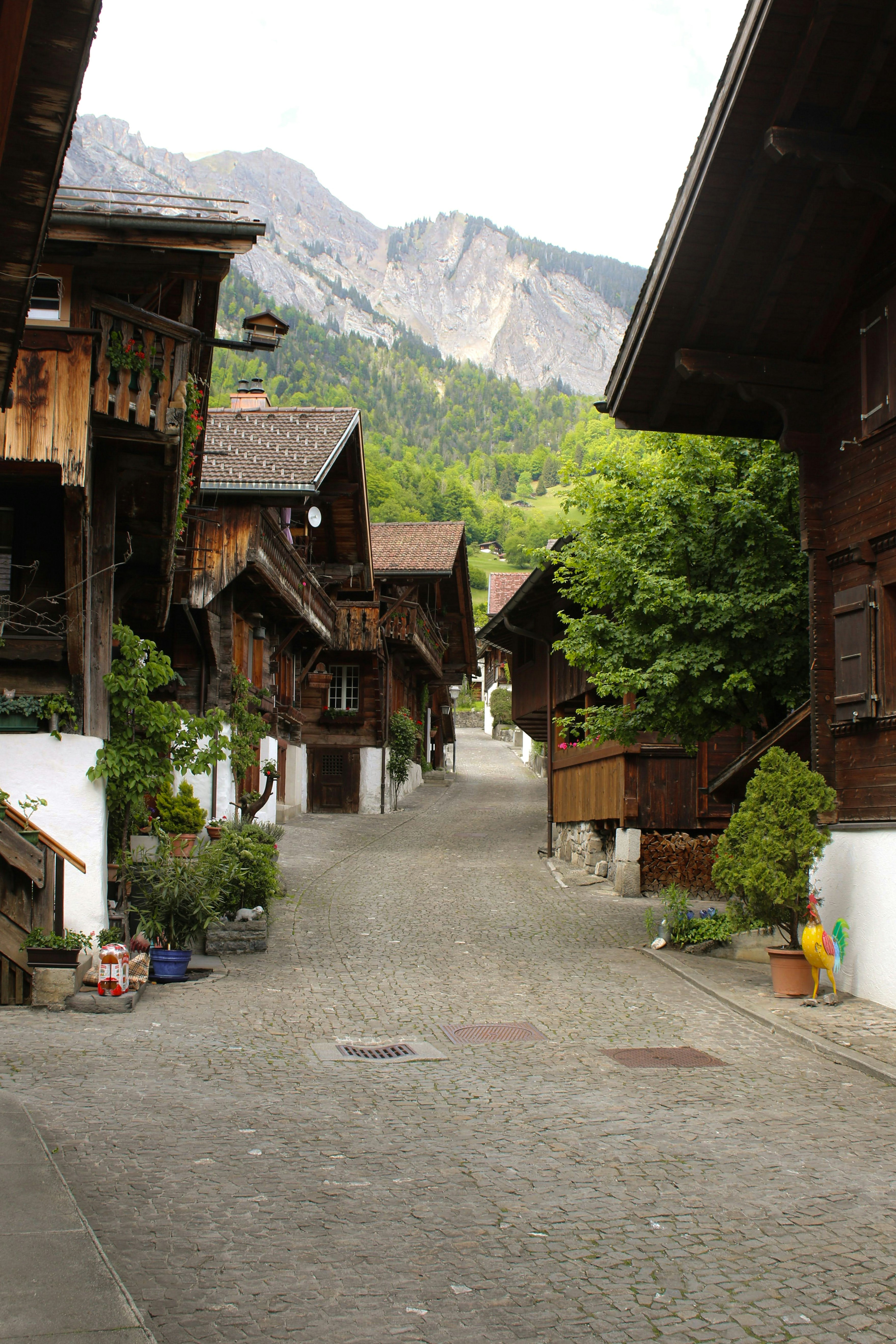 Photo by isaacquick1