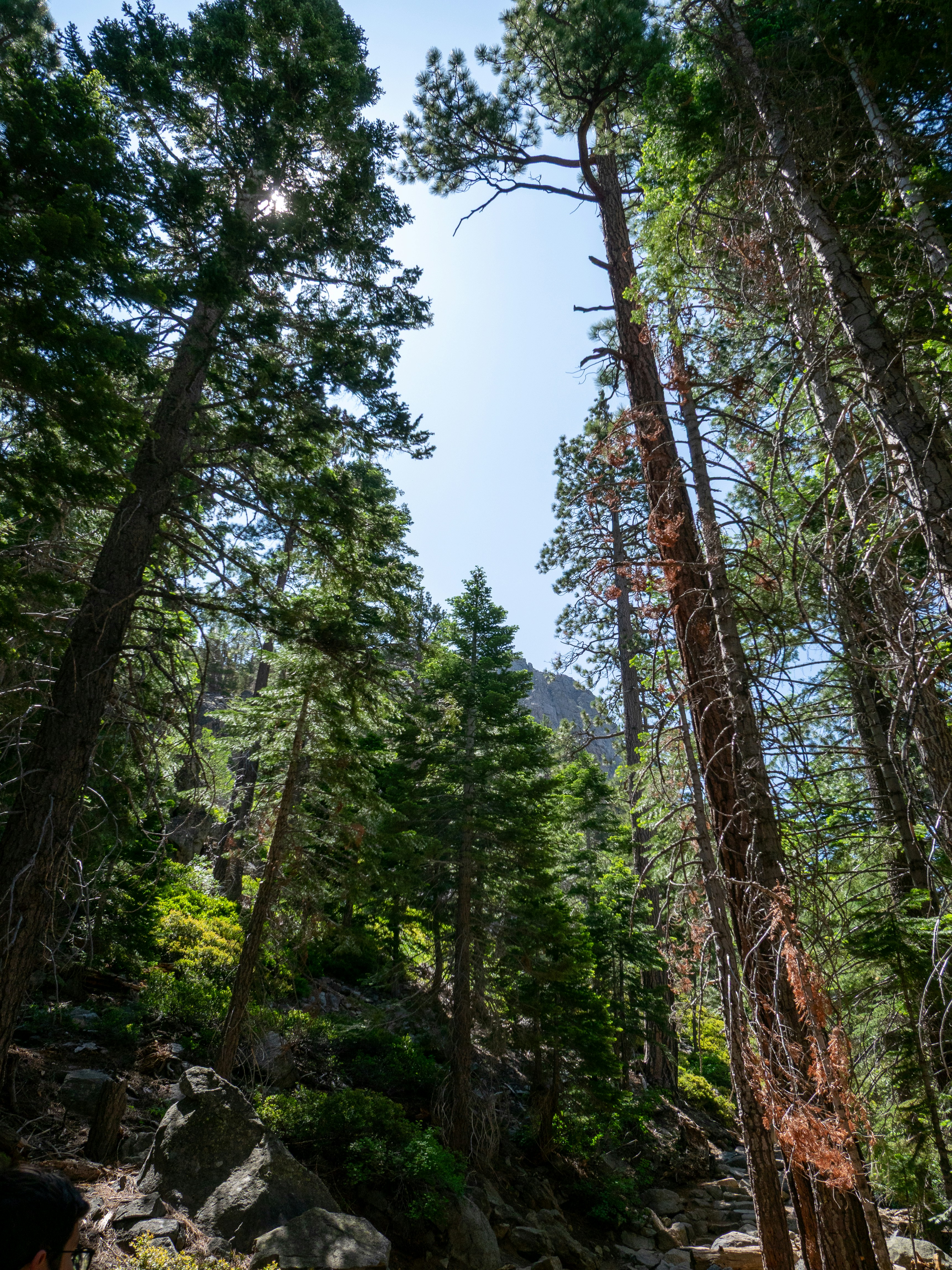 Photo by macaollarzu