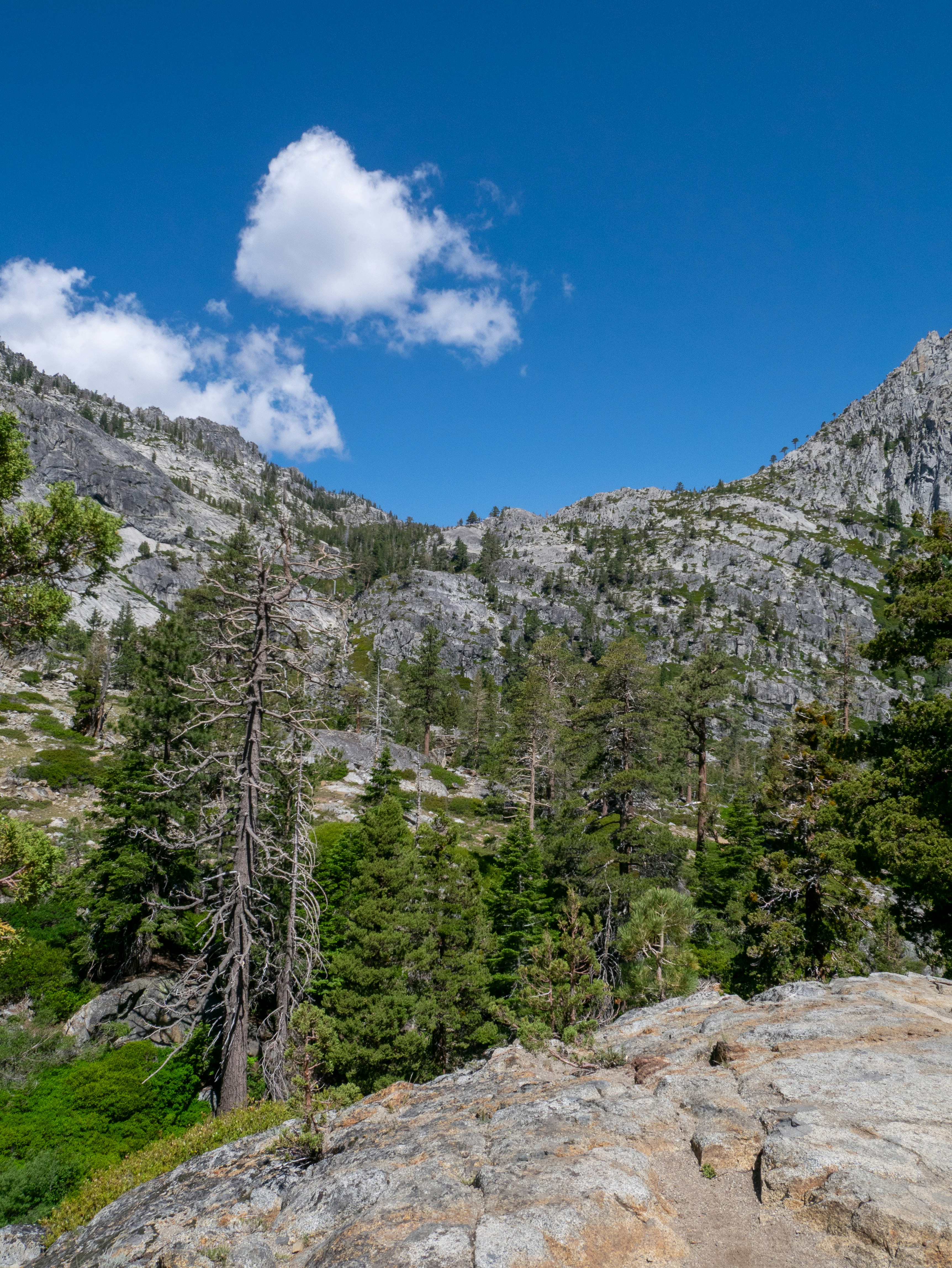 Photo by macaollarzu