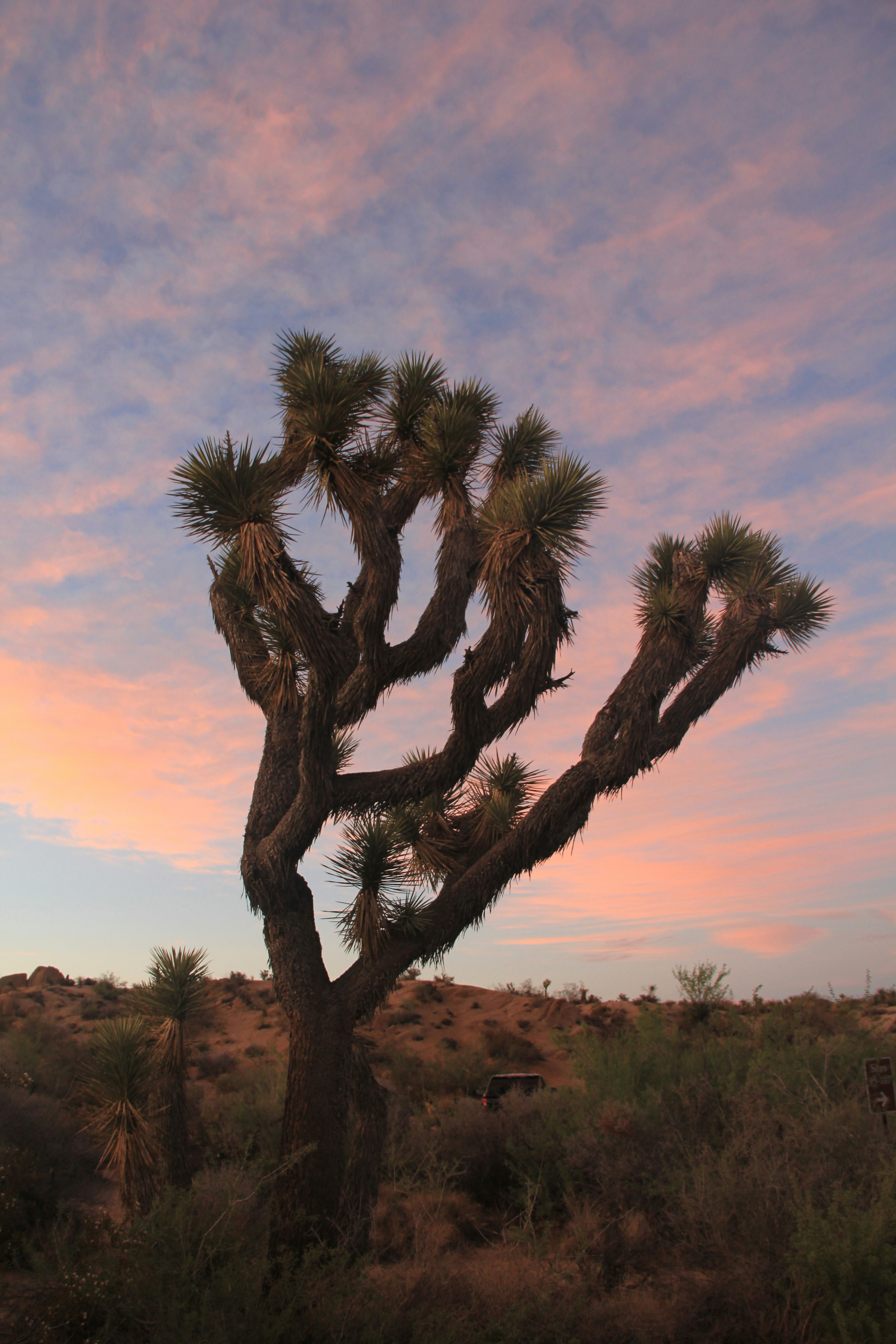 Photo by shiyuanzhang