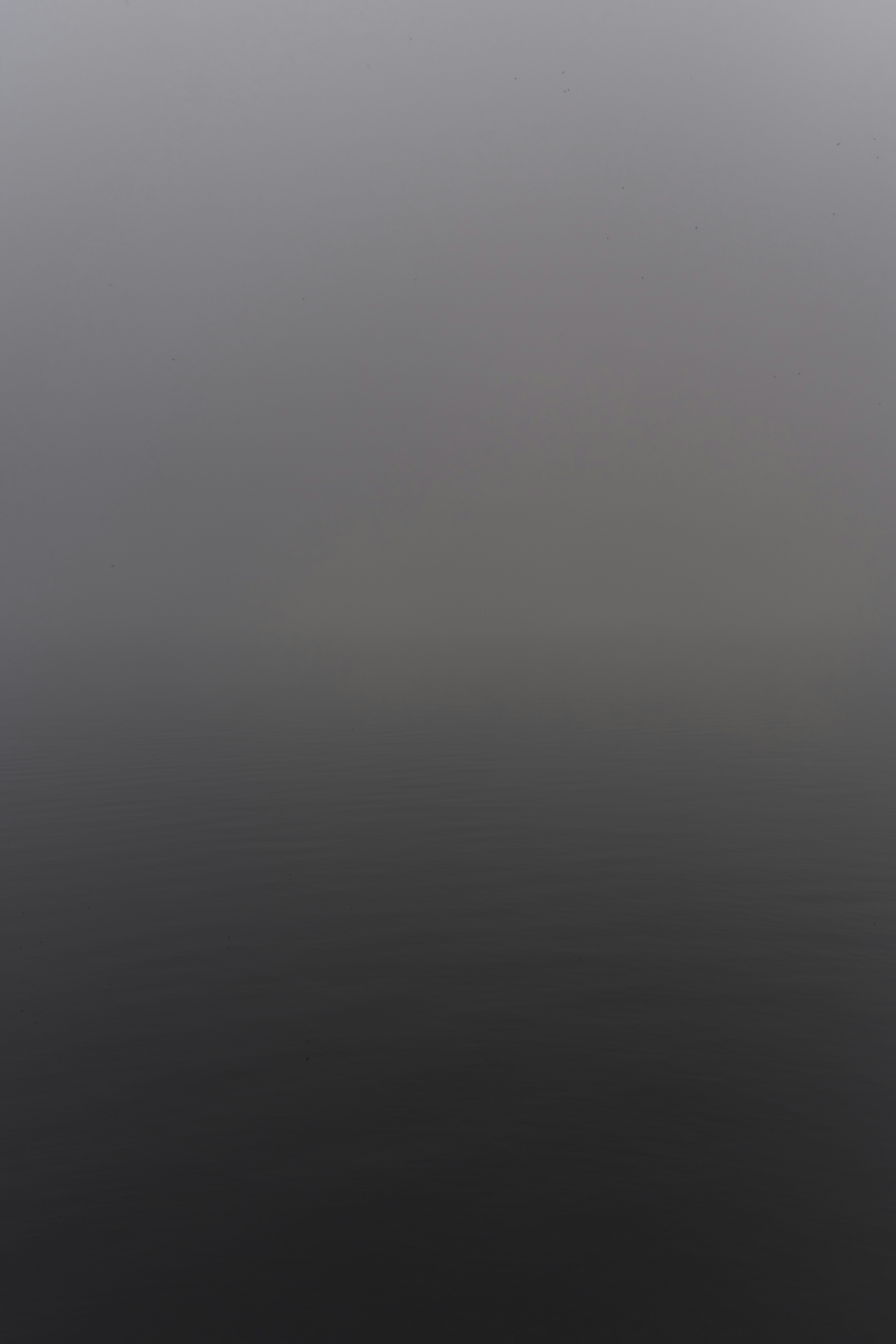 A gray gradient from light to dark.