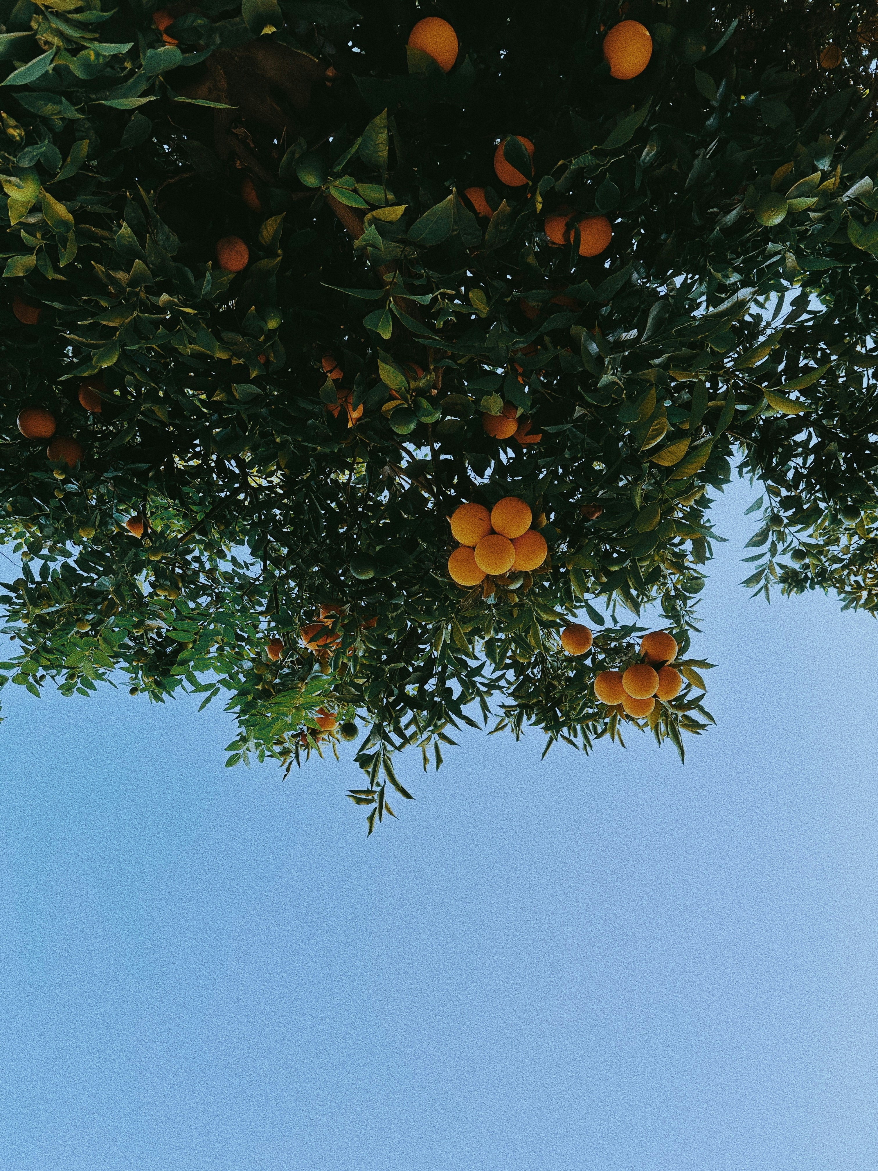 Photo by nickdepartee