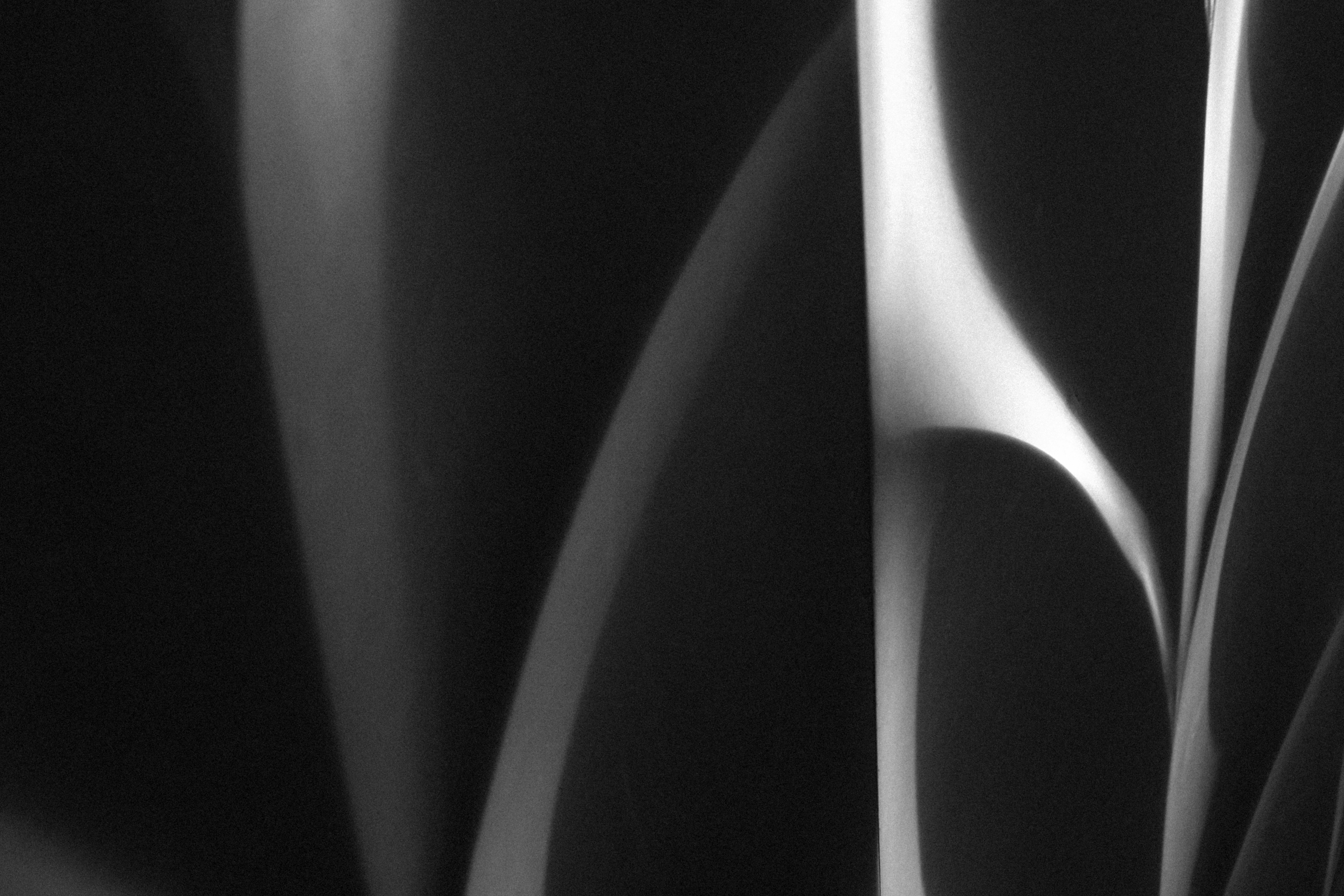  Avatars interacting within a futuristic, immersive metaverse environment, showcasing unique digital collectibles and assets in a virtual marketplace or gallery setting.