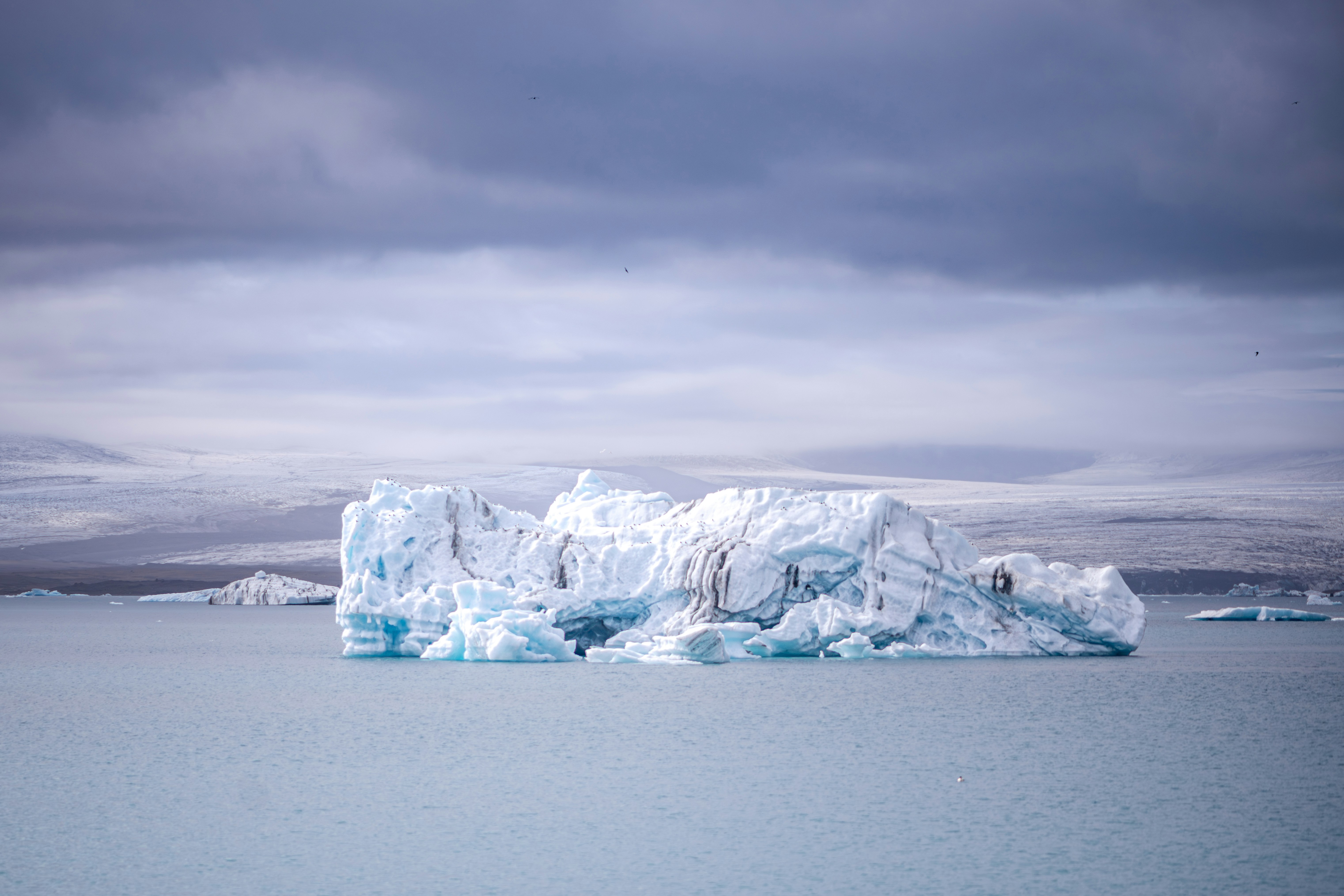 Photo by gerodriguez