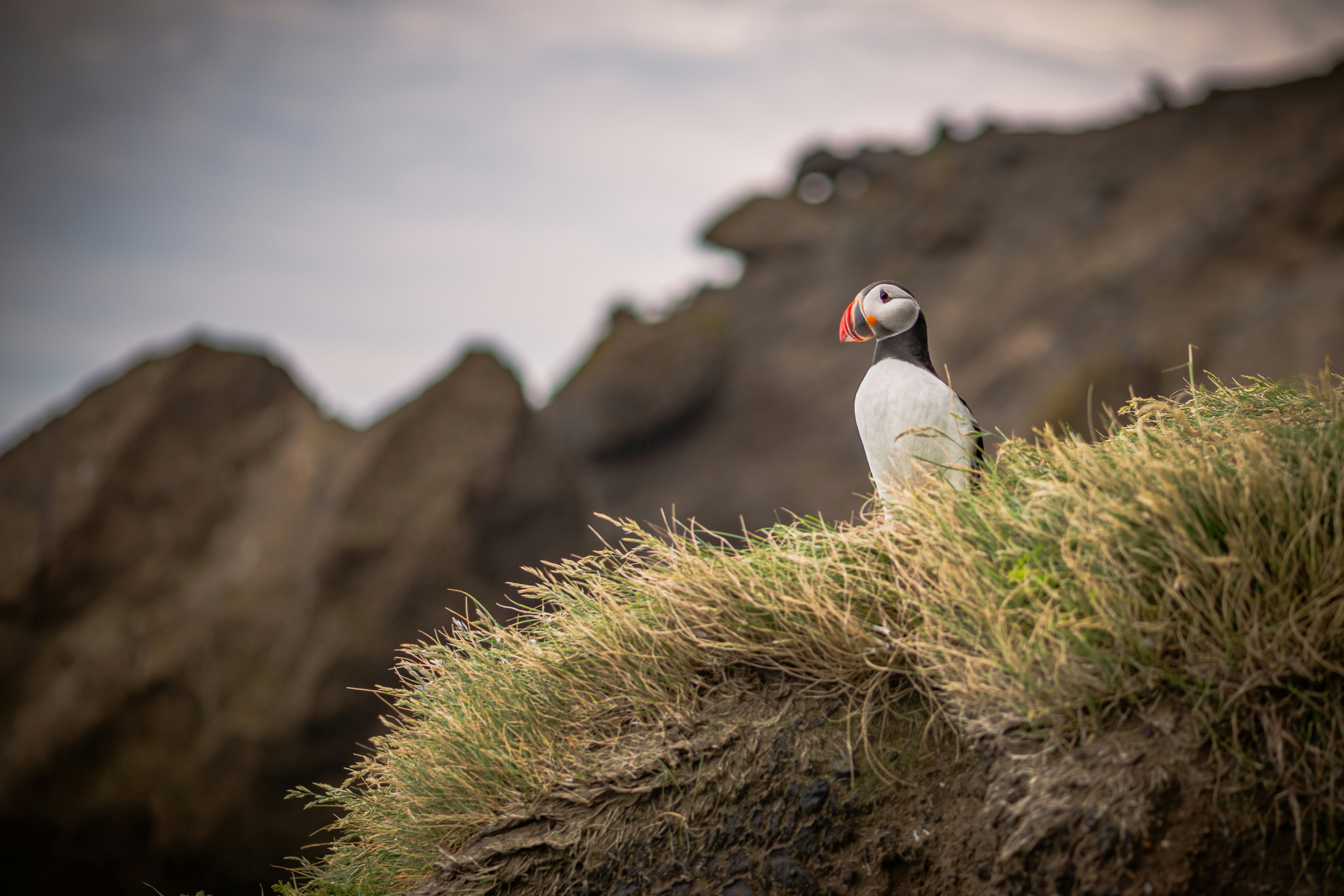 Photo by gerodriguez