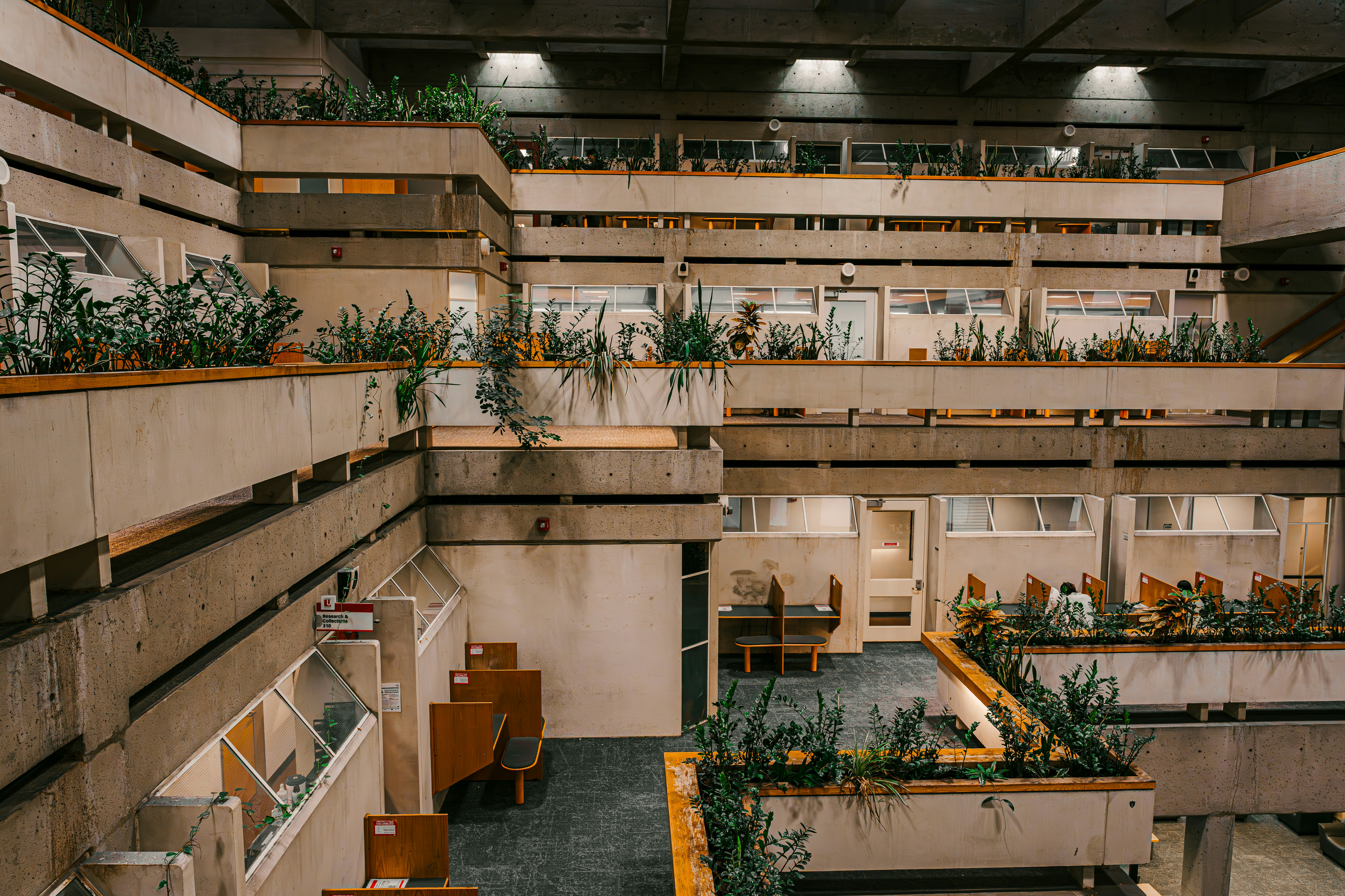 Photo by diljotbphotography