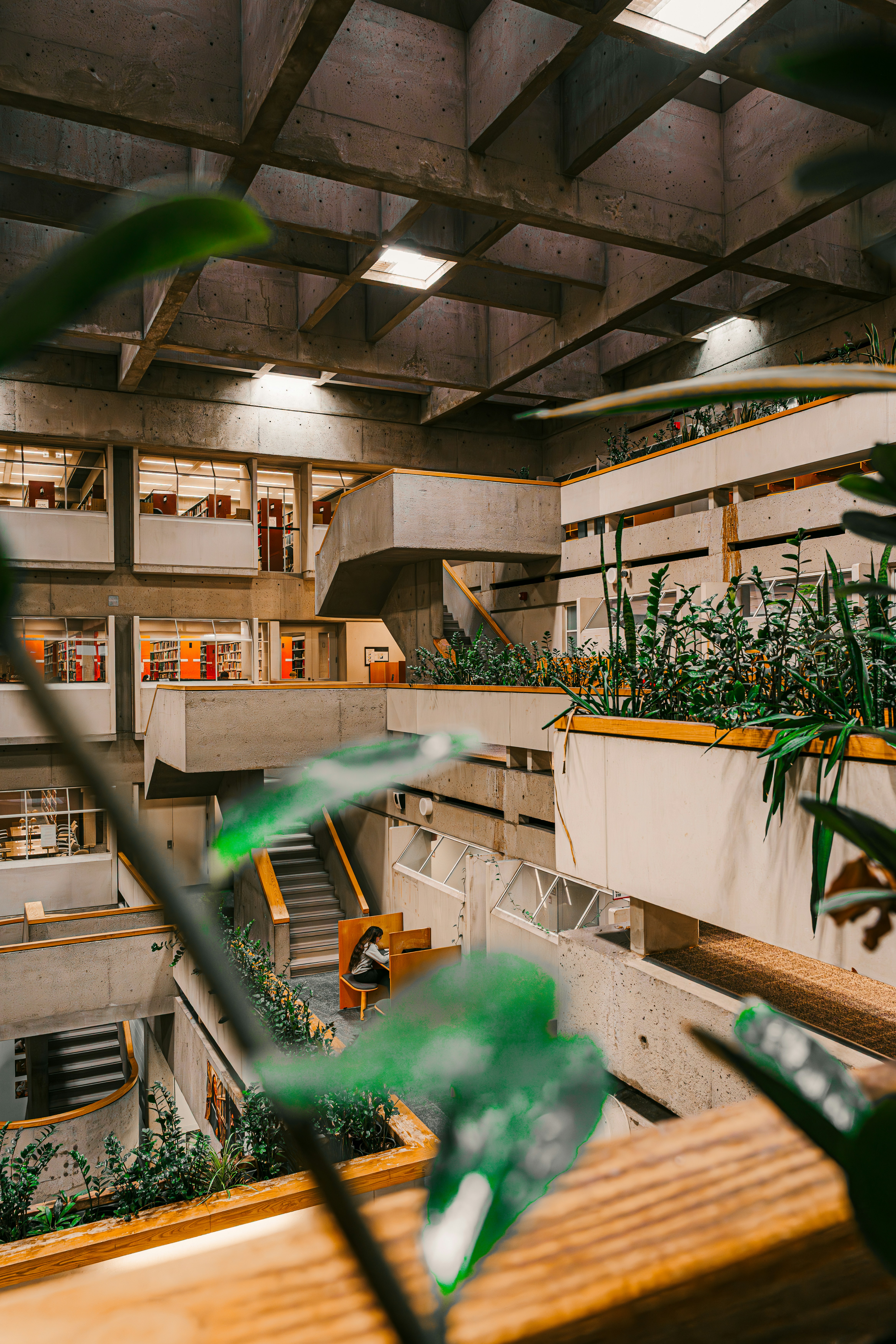 Photo by diljotbphotography