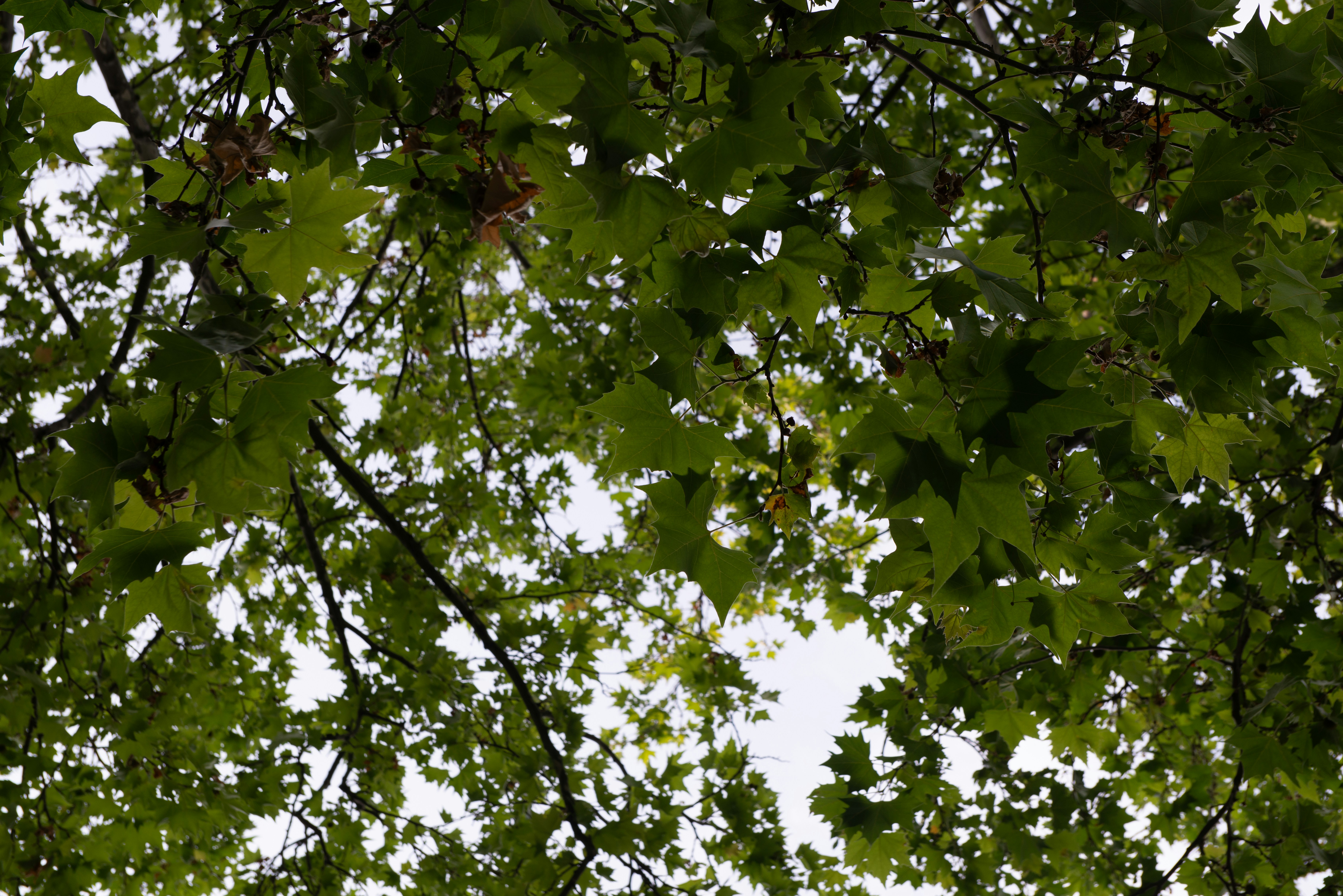 Photo by gerodriguez