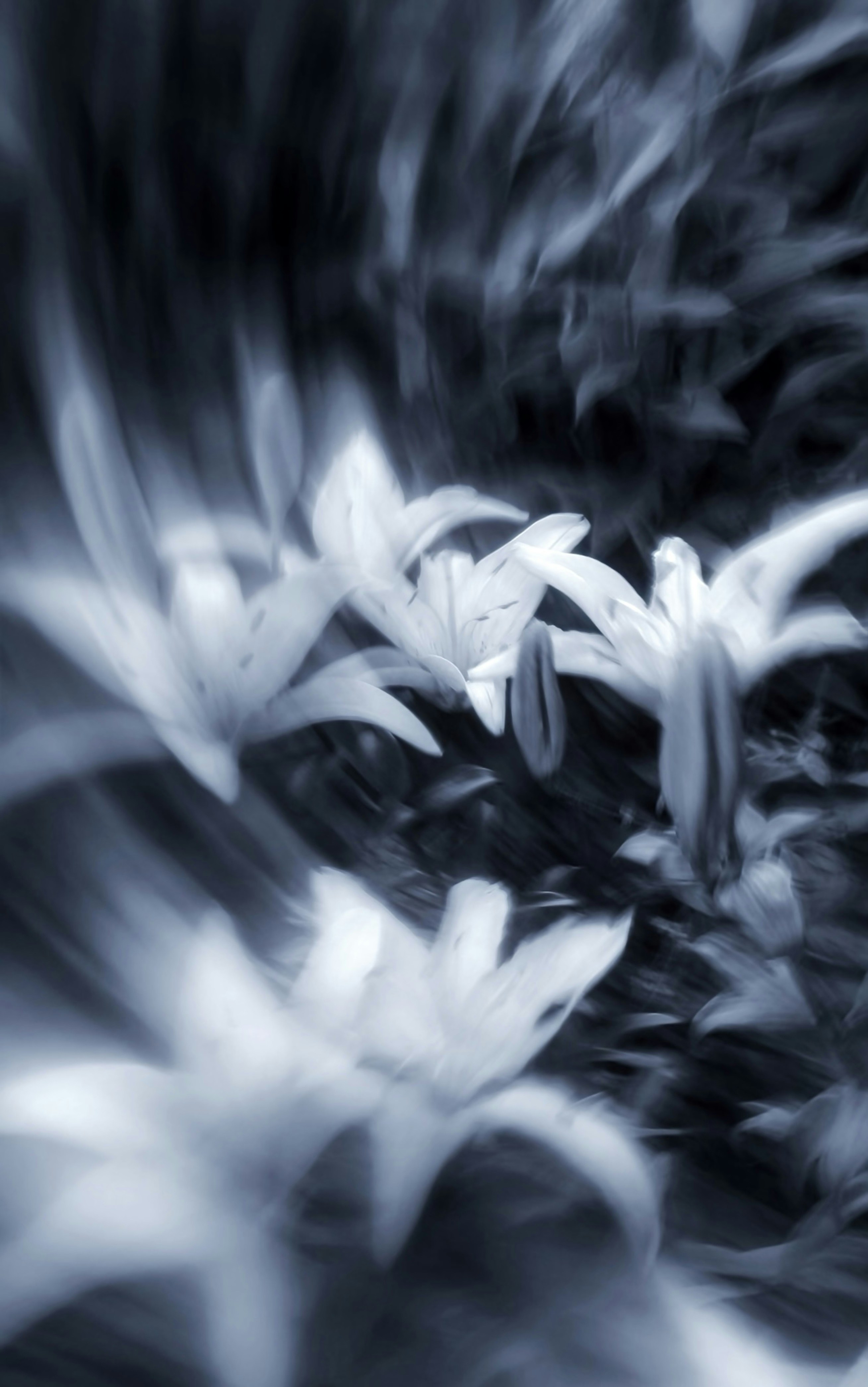 Photo by eugene_golovesov