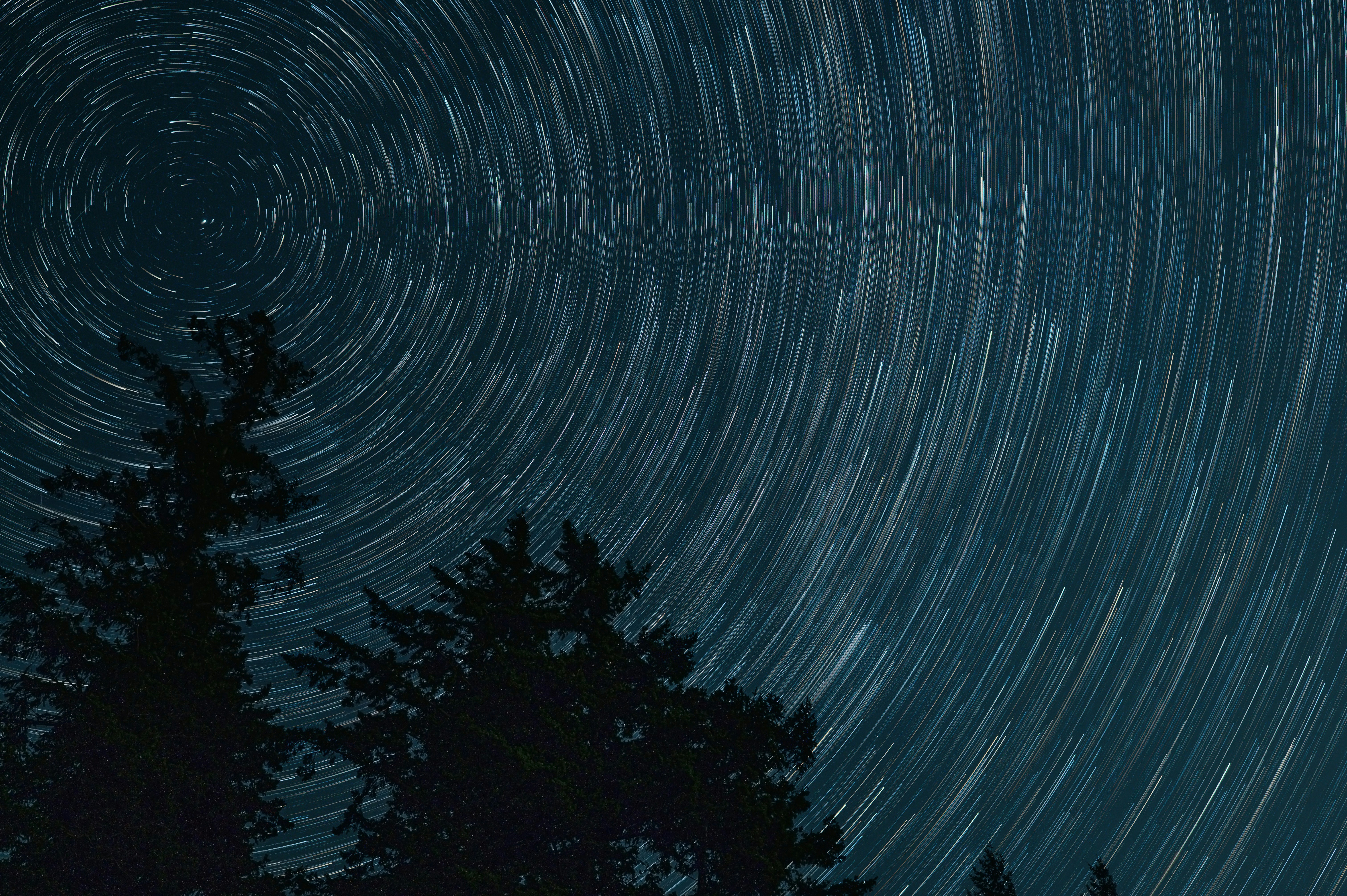 Photo by albertstoynov