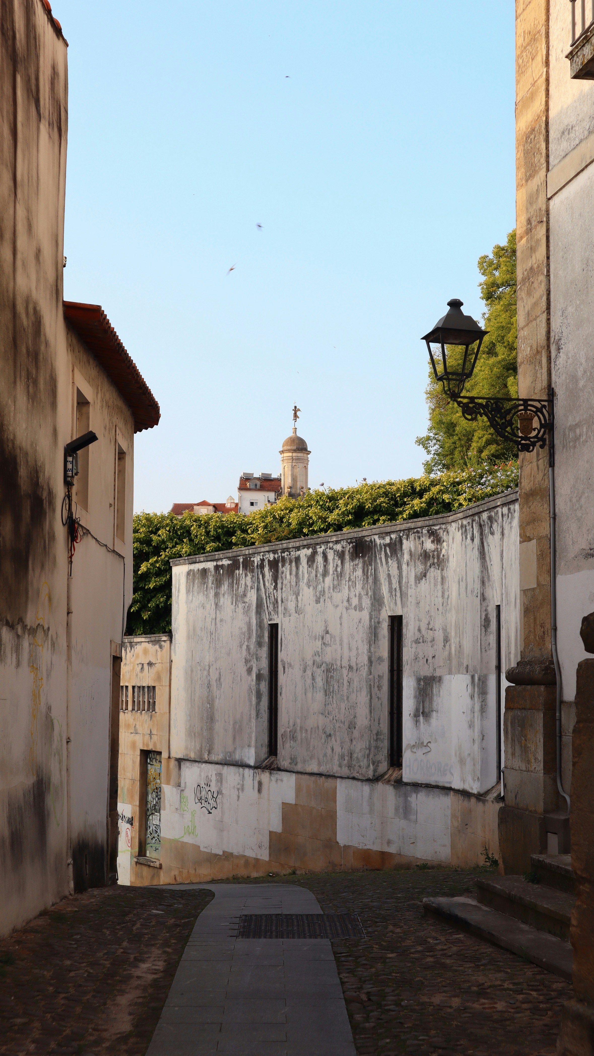 Shopping in Coimbra: What to Buy and Where
