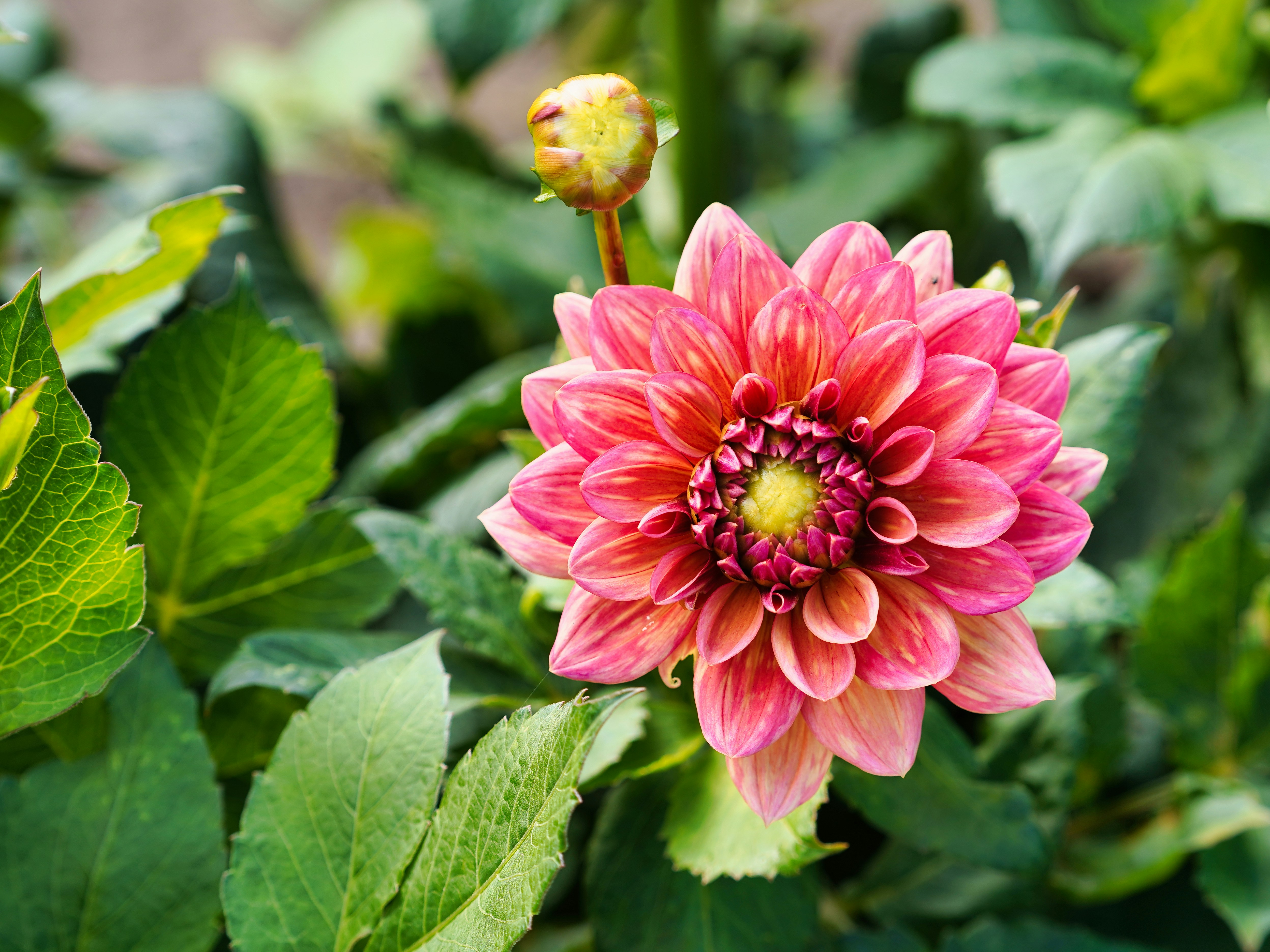 Photo by hamburgmeinefreundin