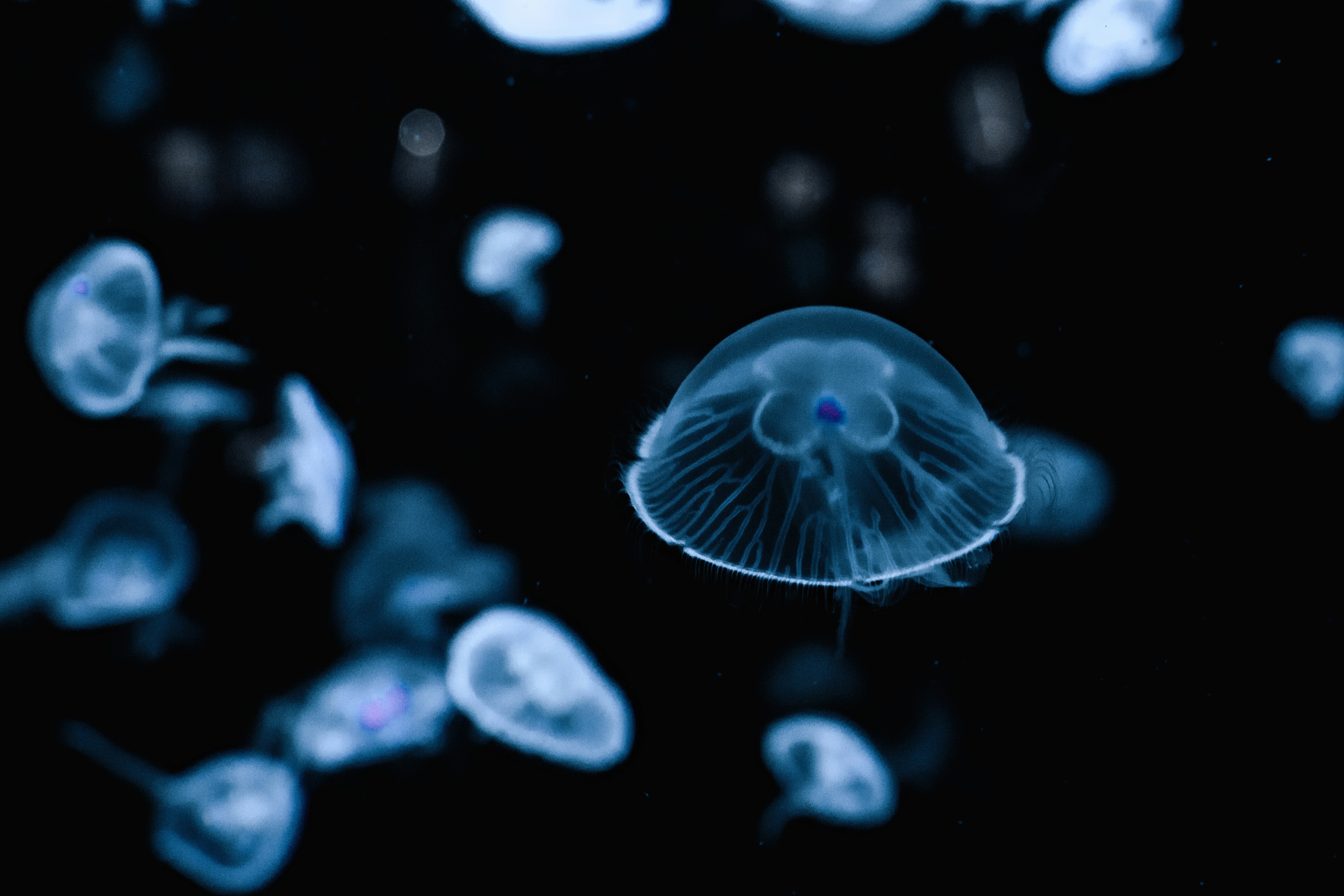 Photo by katherine1690