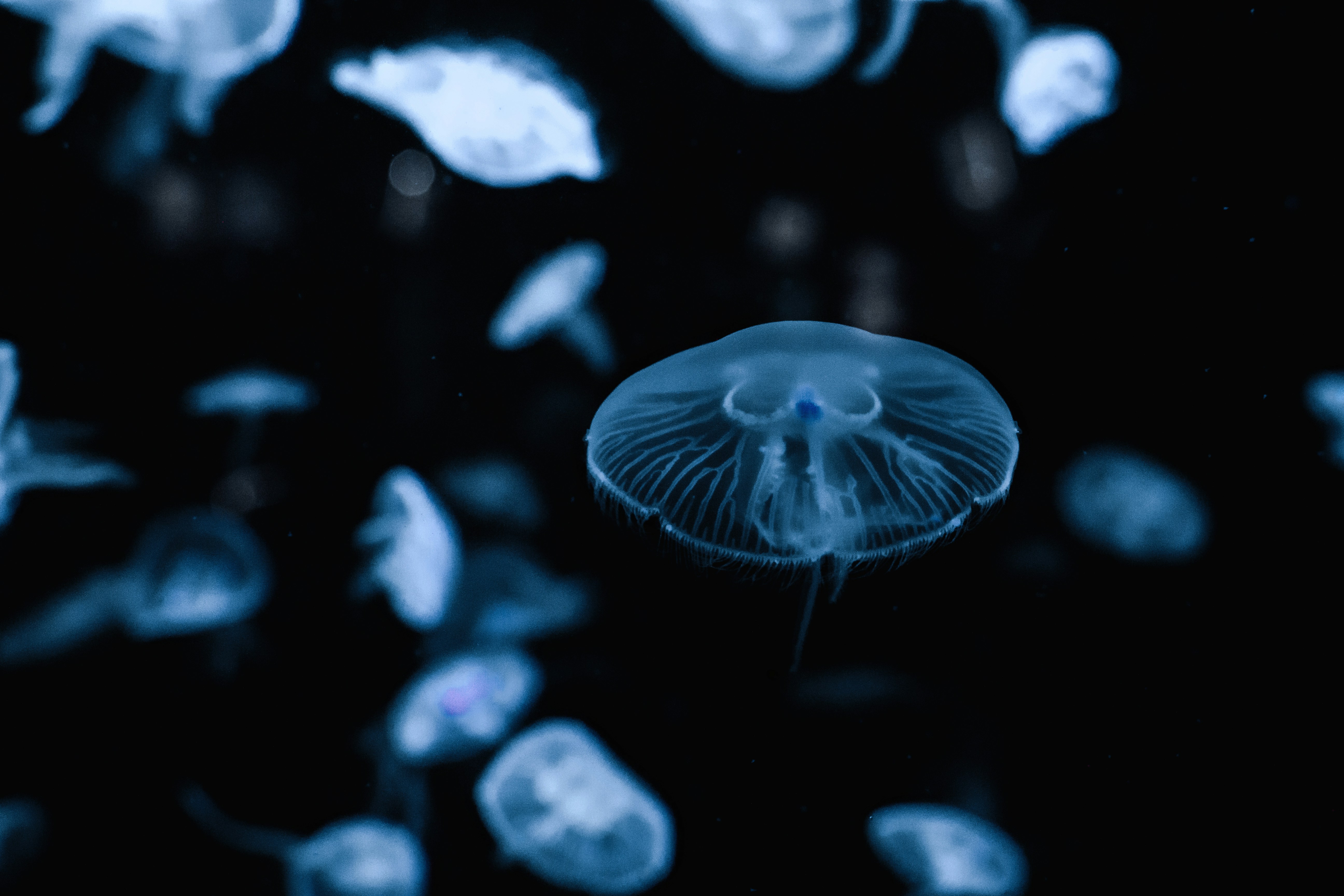 Photo by katherine1690