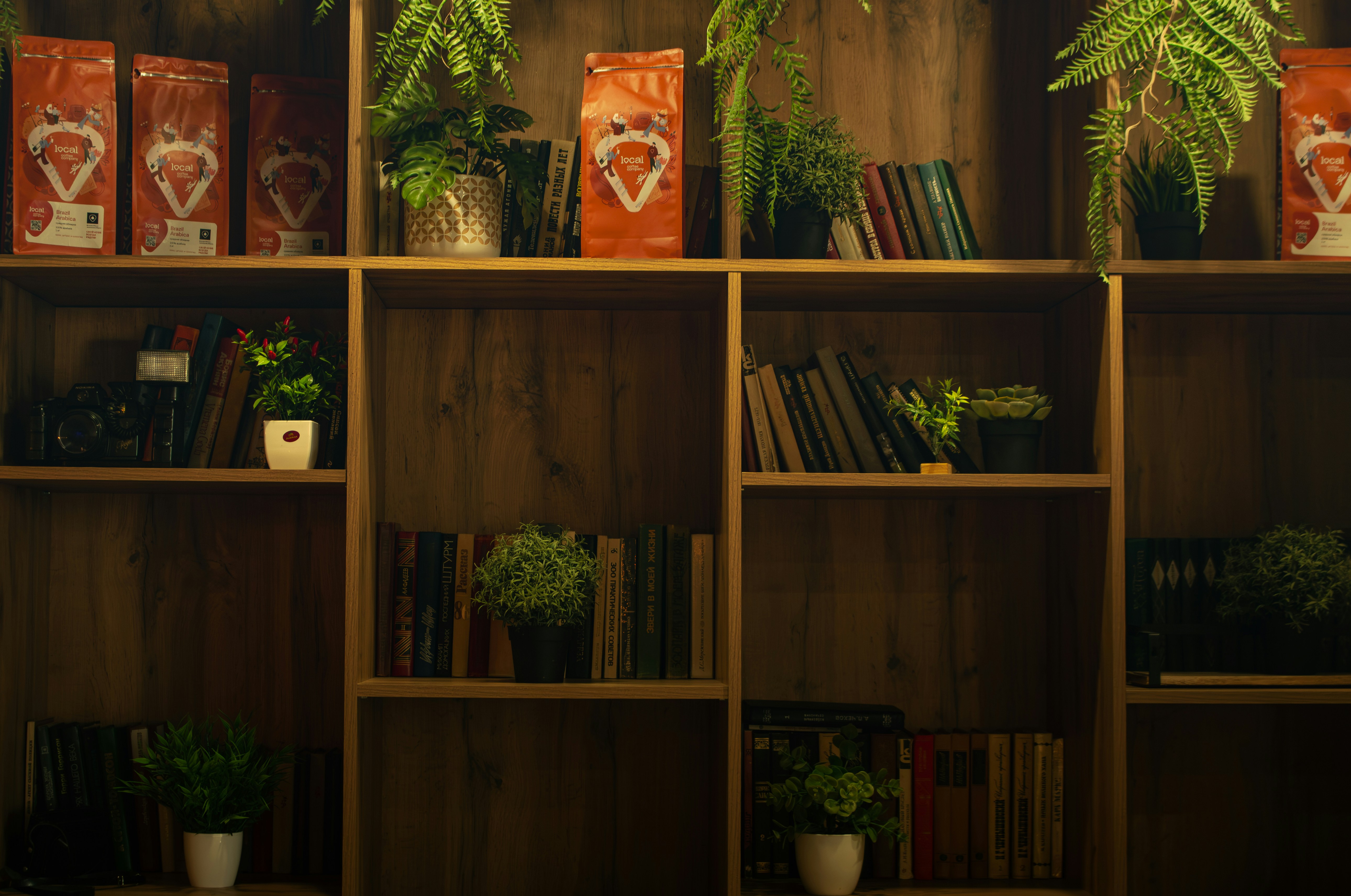 Photo by katherine1690