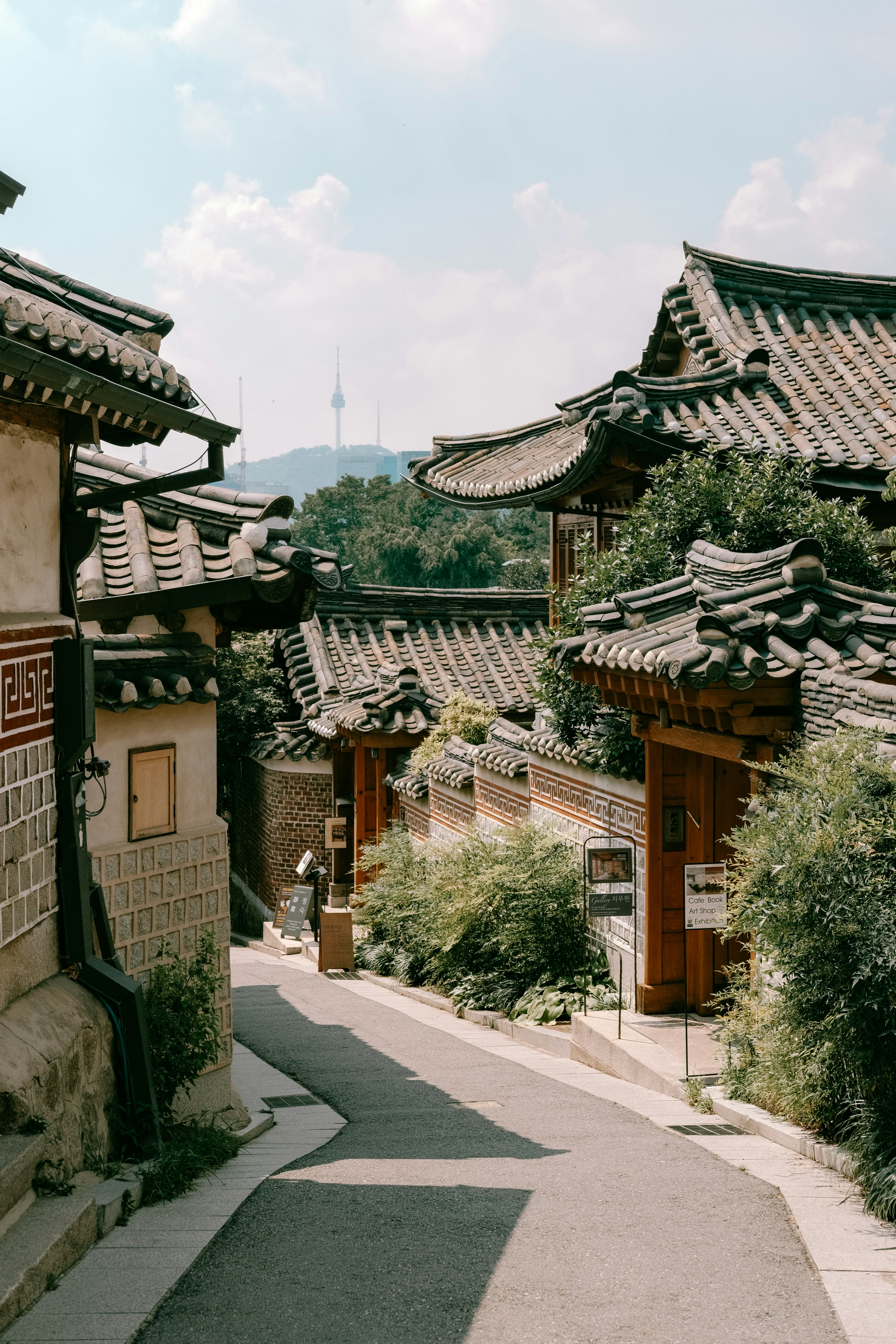 Subway Mastery and Urban Navigation